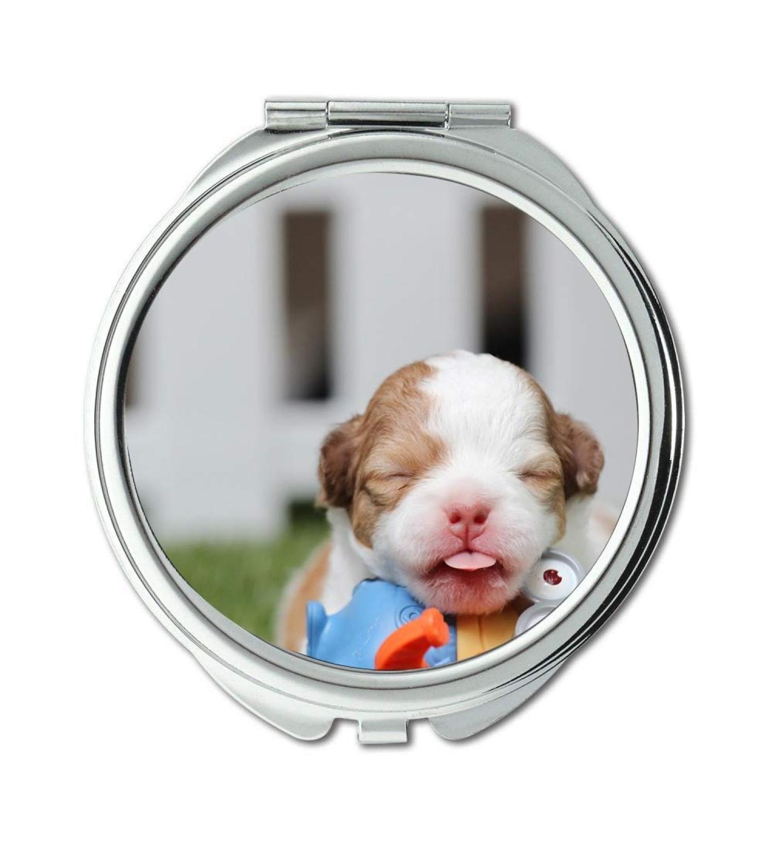 Mirror Compact Mirror Chihuahua Dog Puppy Cute Pet Breed pocket mirror portable mirror - Buy Online on GoSupps.com