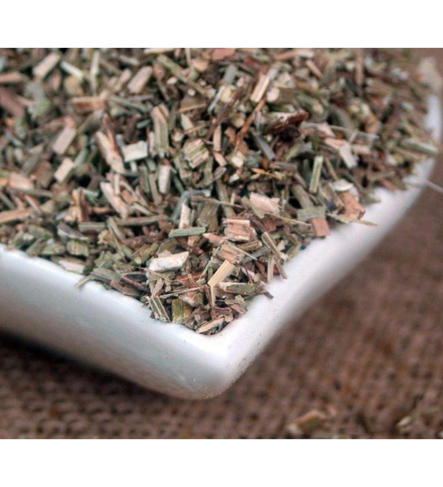 Krauterino24 Krauterino24 - Verbena cutting (100g)