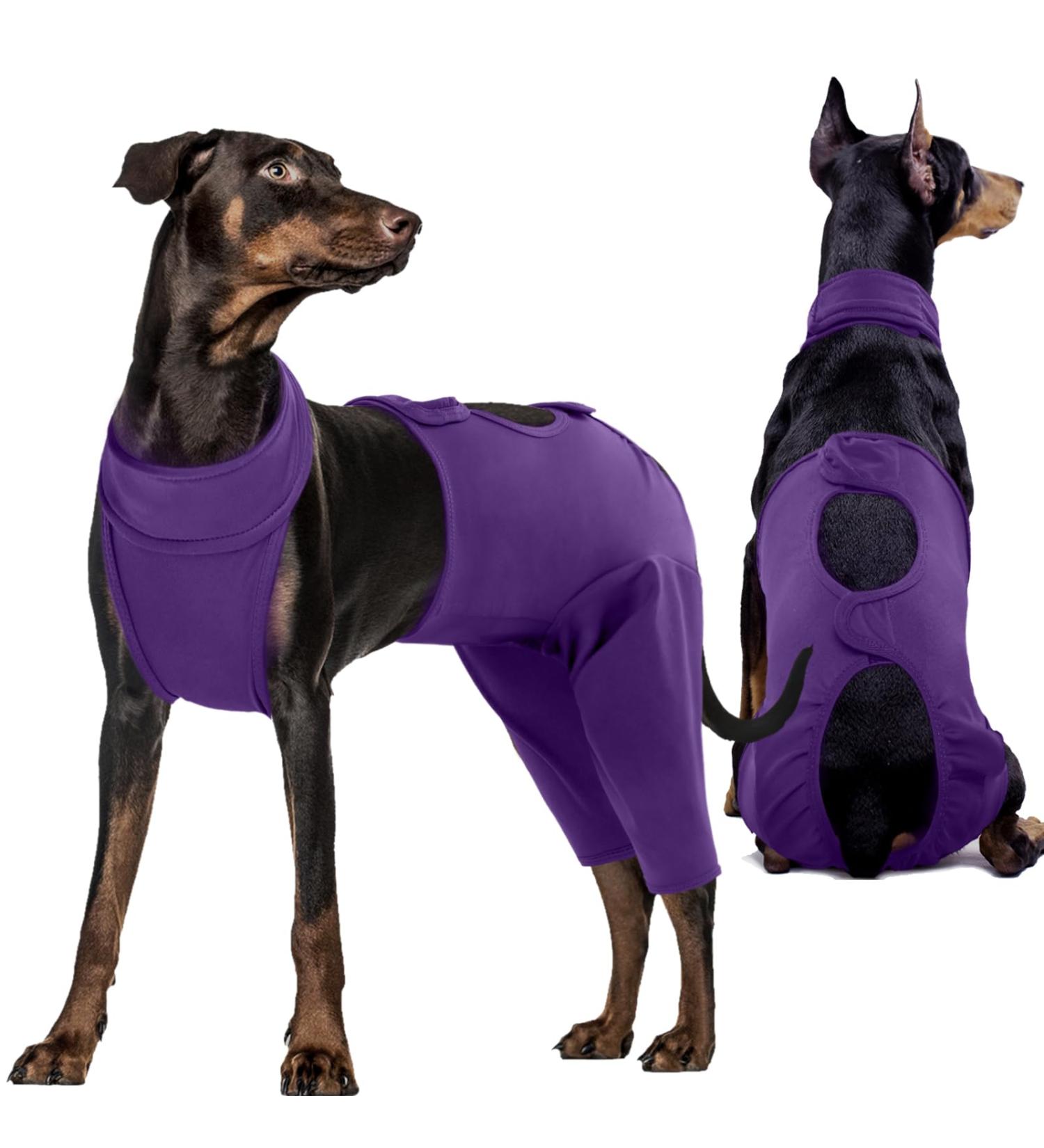 Kuoser Dog Recovery Suit - E-Collar Alternative for Male & Female Dogs Post-Surgery Comfort & Healing Anti-Lick Bodysuit Purple - Buy Online on GoSupps.com