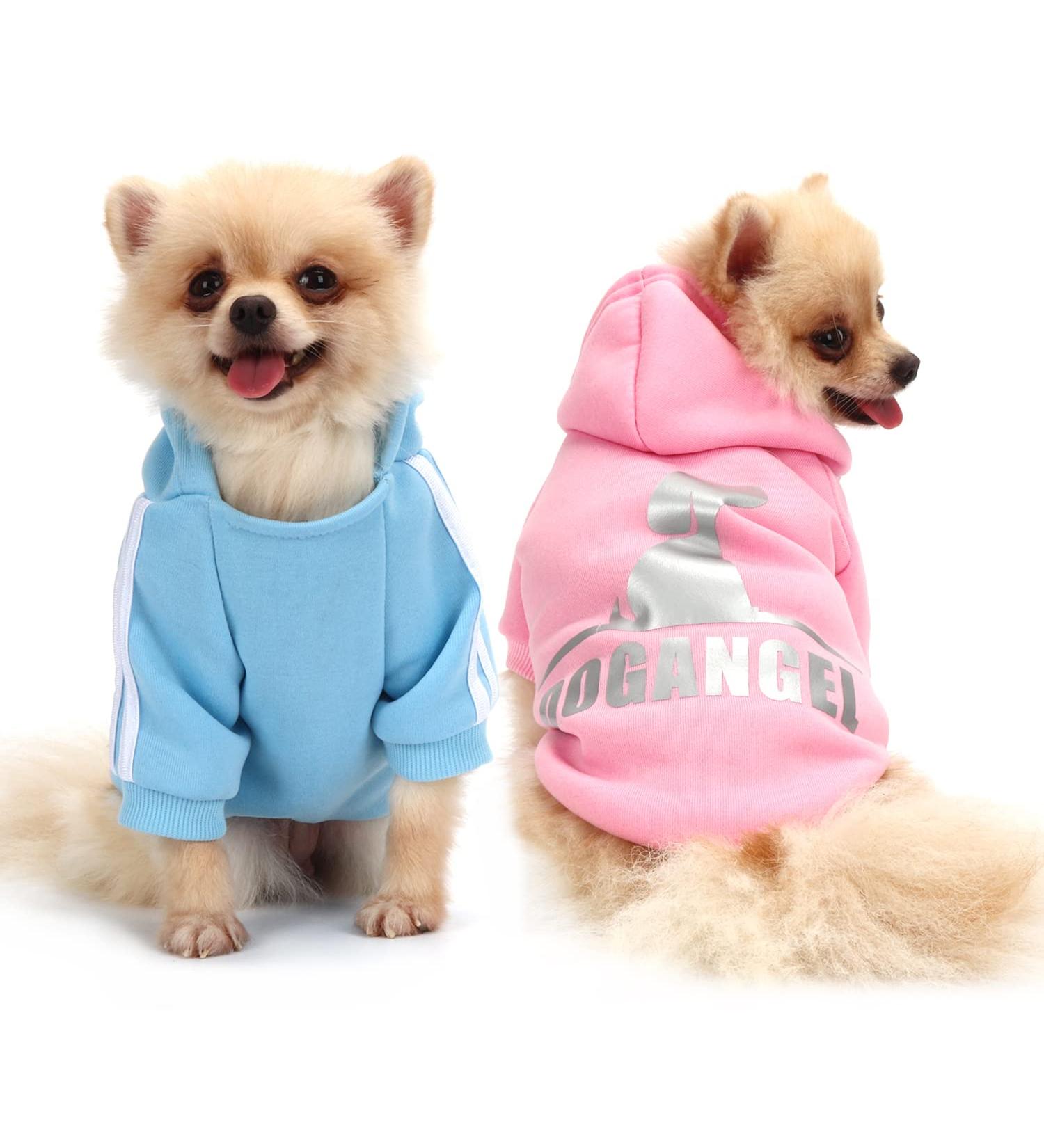 QiCheng&LYS Small Dog Hoodie - Knitted Winter Coat Sweater for XS Dogs | Pink/Blue Options - Buy Online on GoSupps.com