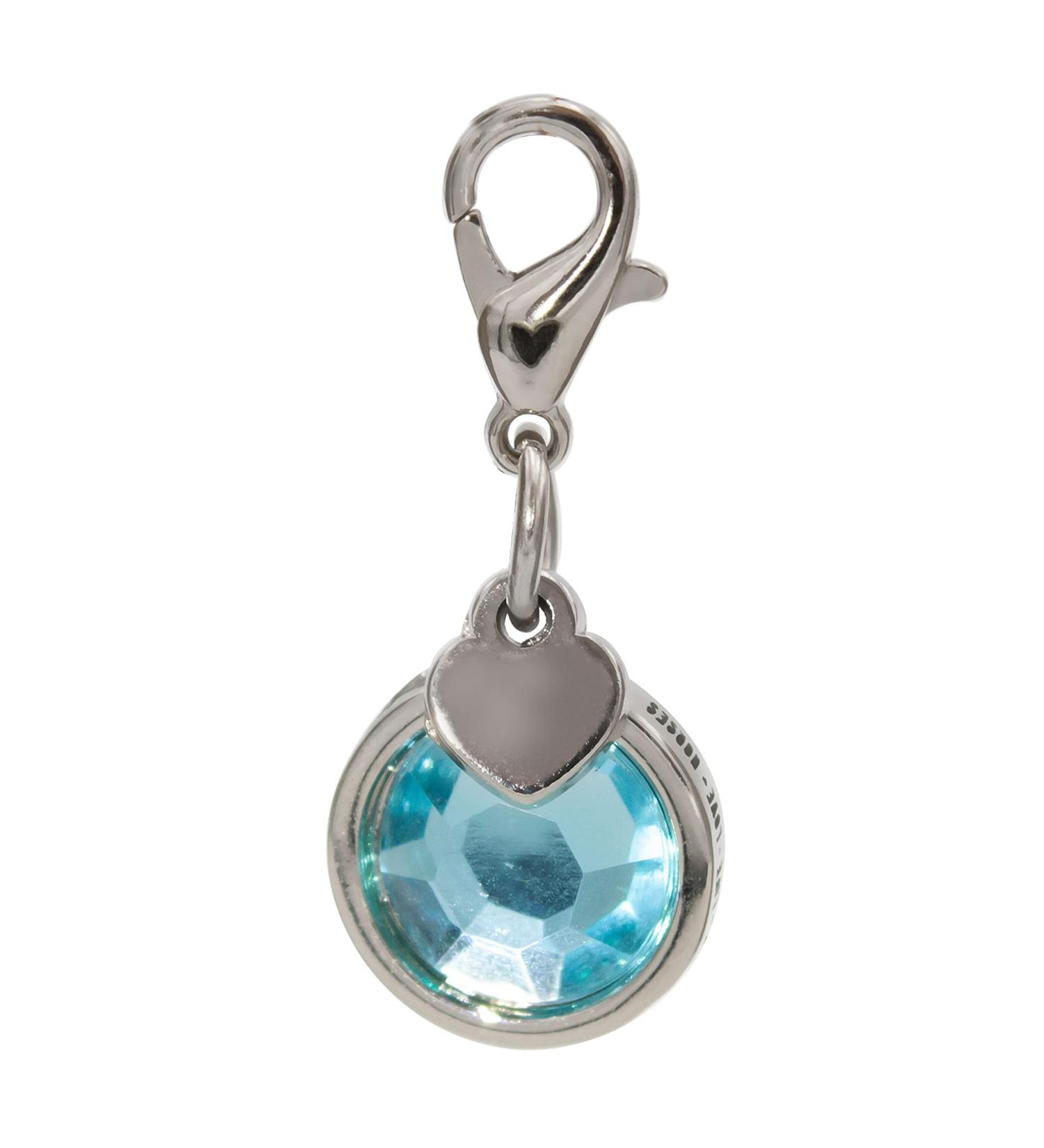 Buy Soulhorse Bridle Trenser & Lucky Charm Keychain for Horses - Turquoise Charm with Artificial Stone - Perfect for Trailer & Pony - Buy Online on GoSupps.com