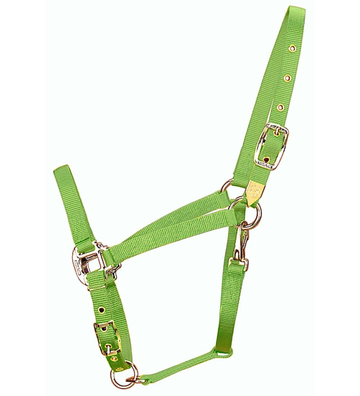 Hamilton 3/4-inch Nylon Arabian Horse holder with Adjustable Chin and Throat Snap Average 800 to 1100 Pounds Lime Green Average 800 to 1100 Pounds Lindgr n