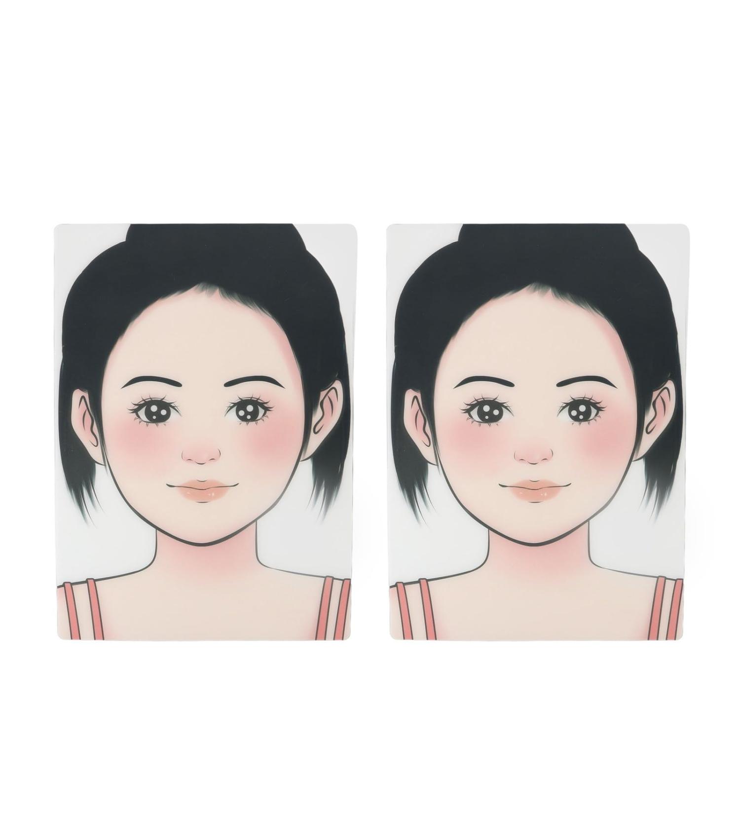 Planches de Pratique de Peinture de Visage 2 Pi ces Planche de Pratique de Peinture de Maquillage Lavable et R utilisable Mod le D'exercice de de Visage pour la Sc ne la Maison - Buy Online on GoSupps.com