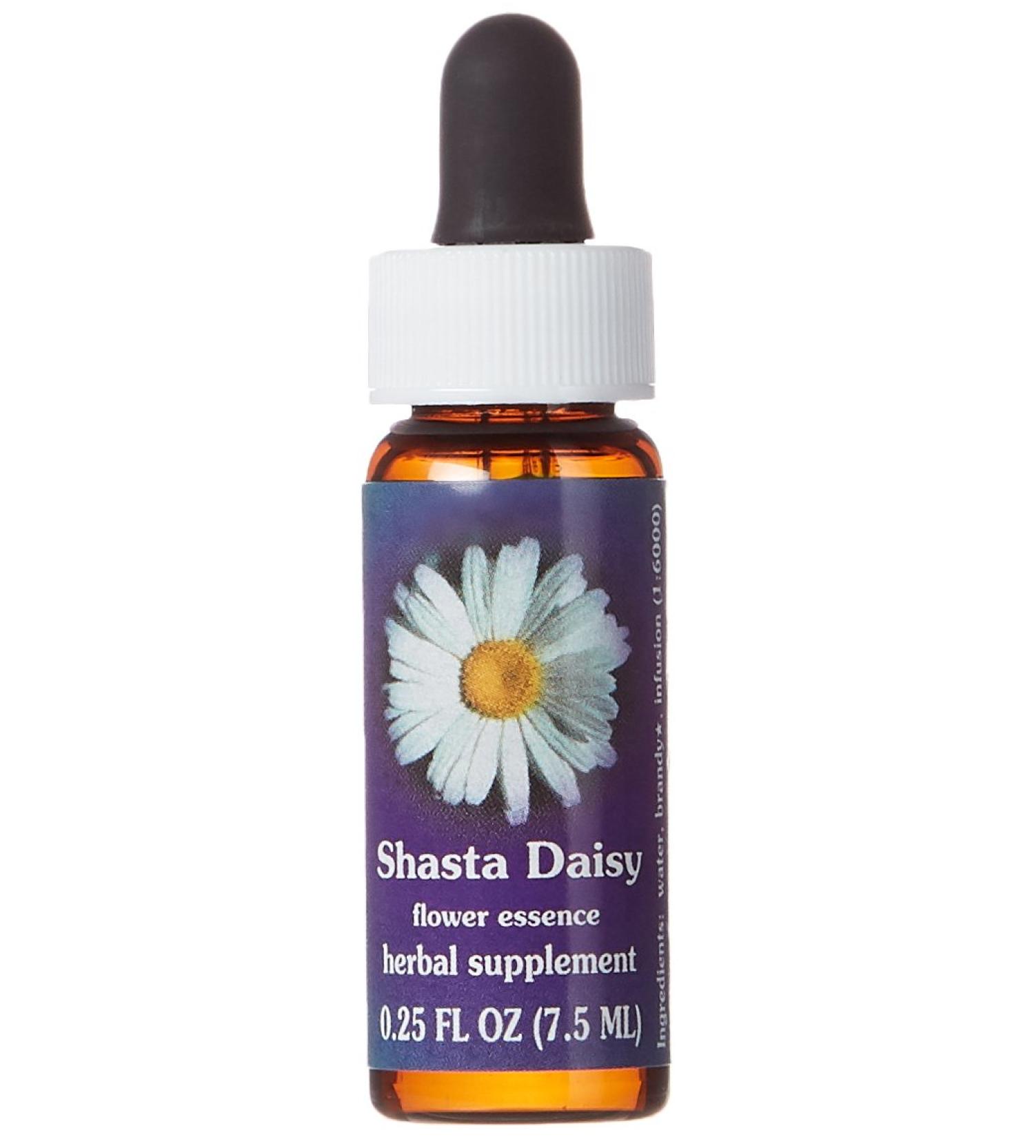 Flower Essence Services FES Quintessentials Dropper Shasta Daisy Supplement 0.25 Ounce