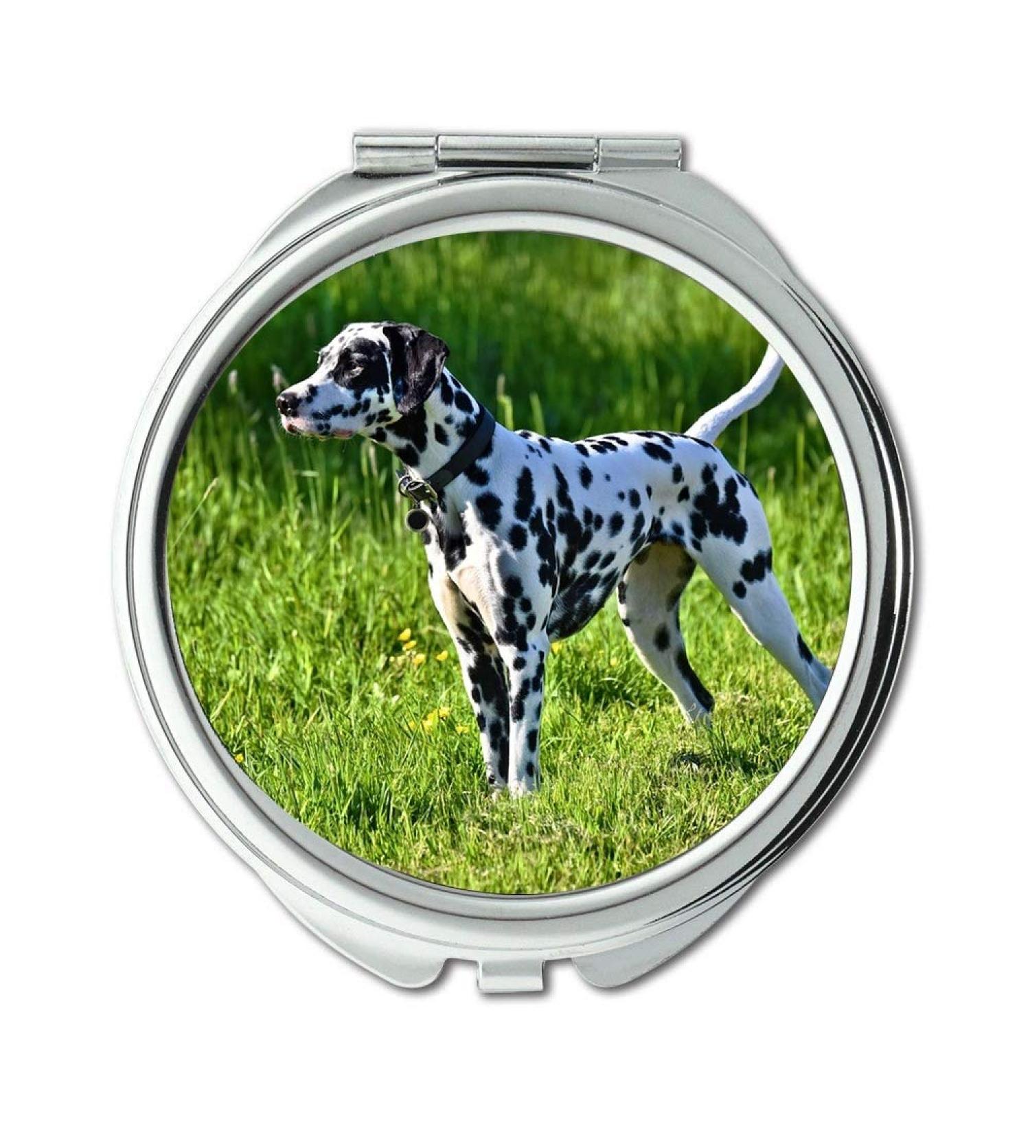 YENDOSTEEN Mirror makeup mirror Dalmation Dog Dog Animal Mammal Canine Breed Pocket Mirror portable mirror - Buy Online on GoSupps.com