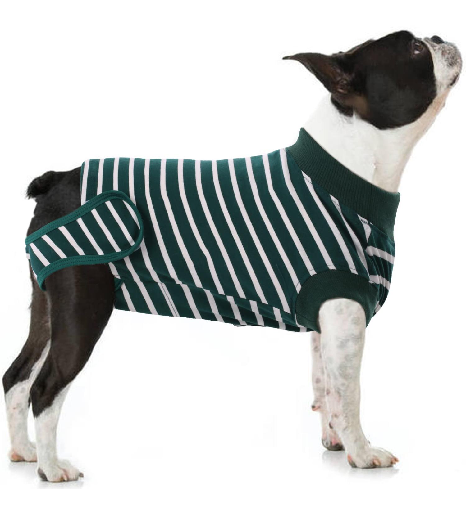 Buy HJYOKUSO Surge Suits for Dogs - Male & Female E-Collar Alternative for Surgery Recovery - Green XS for Postoperative Wounds - Buy Online on GoSupps.com