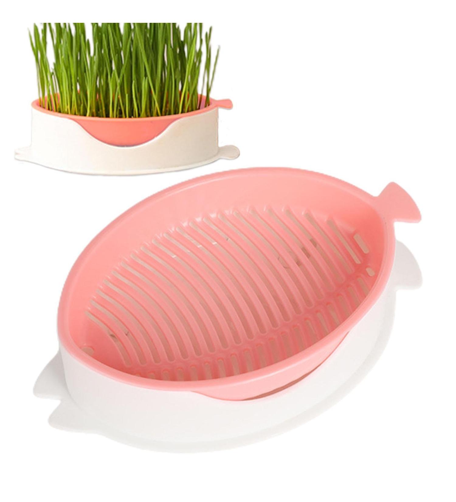  Tebinzi Catnip Cup Catnip Planter Hydroponic Catnip Culture - Cultivation Box Planting Soiless Fish Shape with Mesh Tray for Tebinzi - Buy Online on GoSupps.com