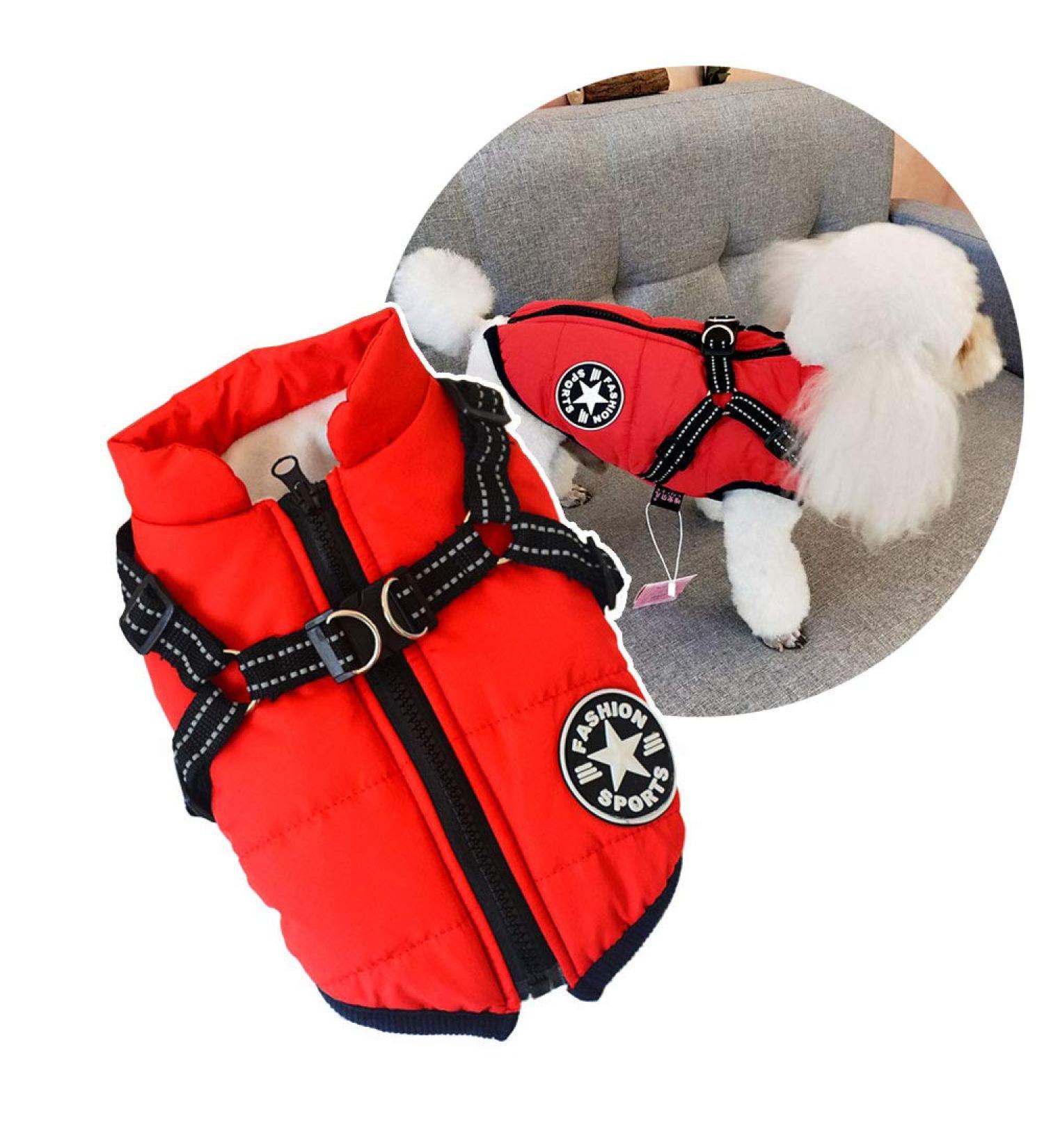 Warm Dog Winter Coat - Padded Jacket for Small Dogs & Cats | Outdoor Cold Weather Apparel in Size L Red - Buy Online on GoSupps.com