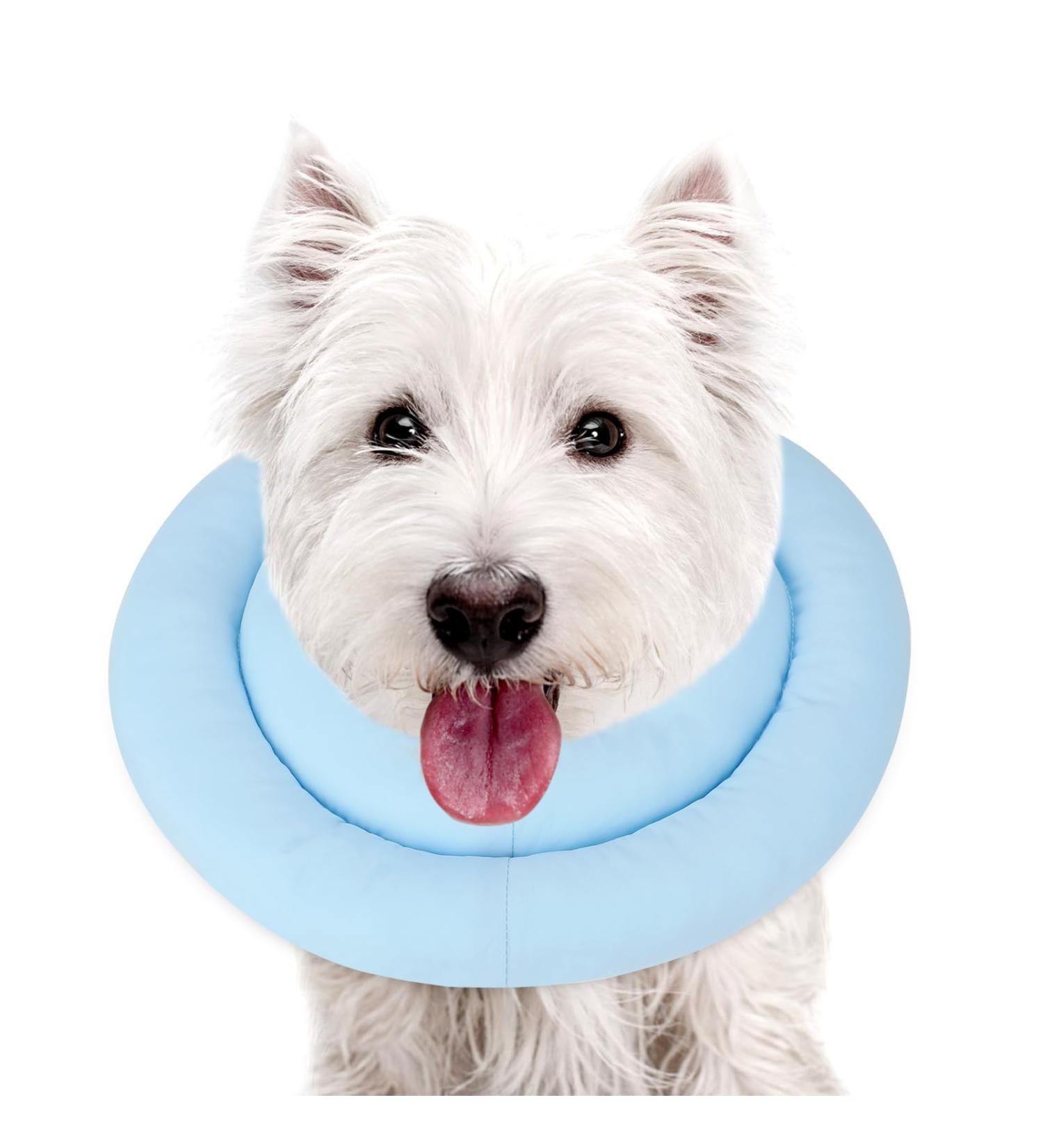 Buy Sbayool Rescue Rause Dog & Cat Adjustable Soft Recovery Collar - Prevent Licking Wounds After Surgery Blue S (Neck 20cm-23cm) - International Shipping Available - Buy Online on GoSupps.com