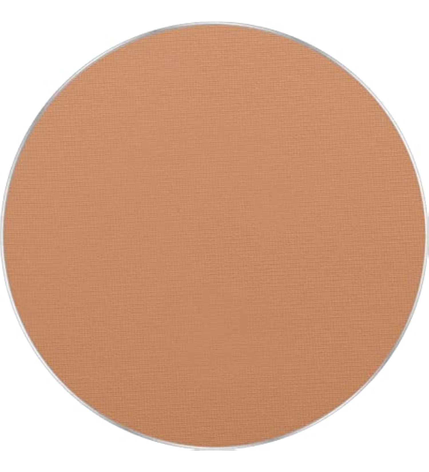Freedom System Perfect Finish pressed powder 15