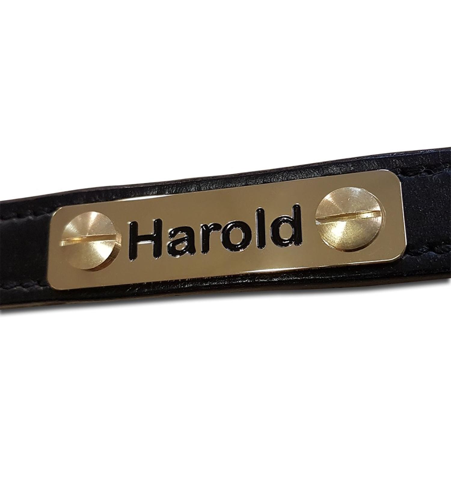 Engraved Solid Brass Horse Headcollar Nameplate 60mm x 15mm
