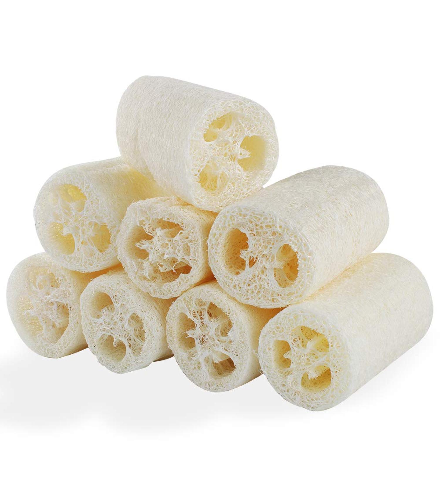 8 Pcs Natural Loofah Sponge Organic Loofah Sponge Organic Luffa Organic Sponge Bath for Shower Scrubbing and Kitchen Cleaning(6 * 10cm) - Buy Online on GoSupps.com
