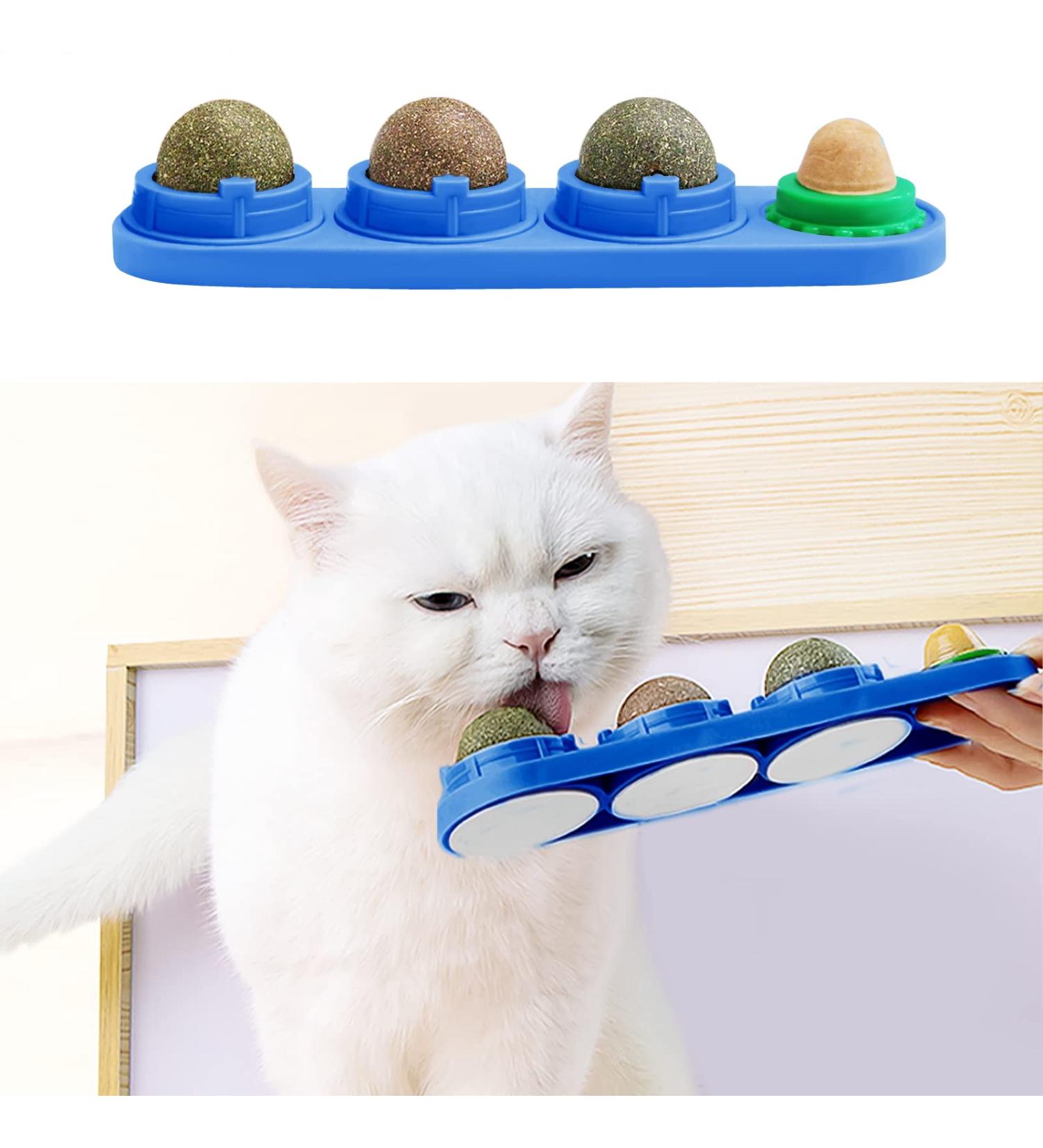 Starroad-Tim Catmil Wall Ball Cats - Mint Dental Toys for Cats | Clean Teeth & Fun Eating - Buy Online on GoSupps.com