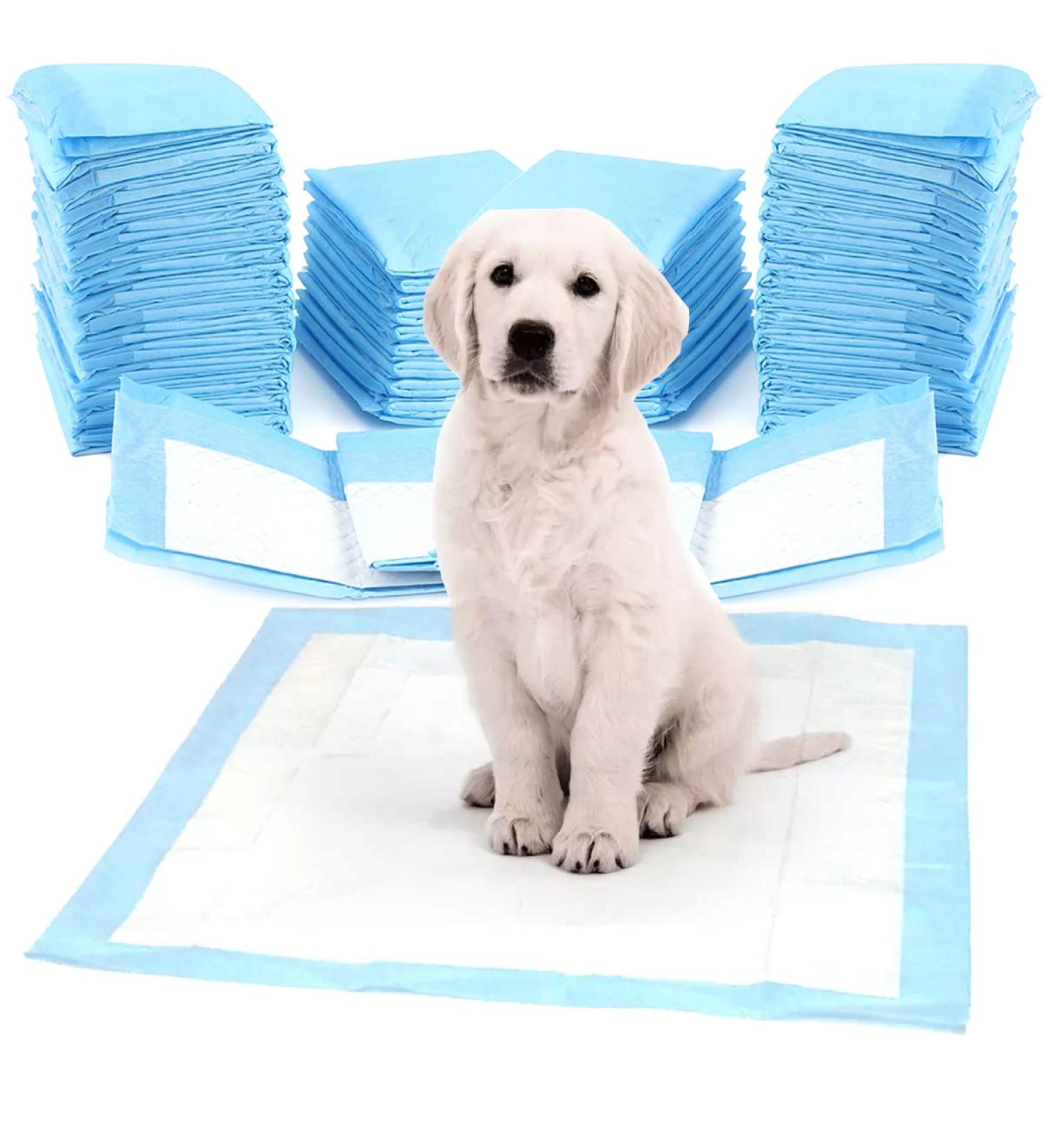 Zolta Dogs Toilet Mats 60x60cm - 50 Pack Disposable Training Pads & Hygiene Mat for Pets - Essential Dog Accessories for Home & Travel - Buy Online on GoSupps.com