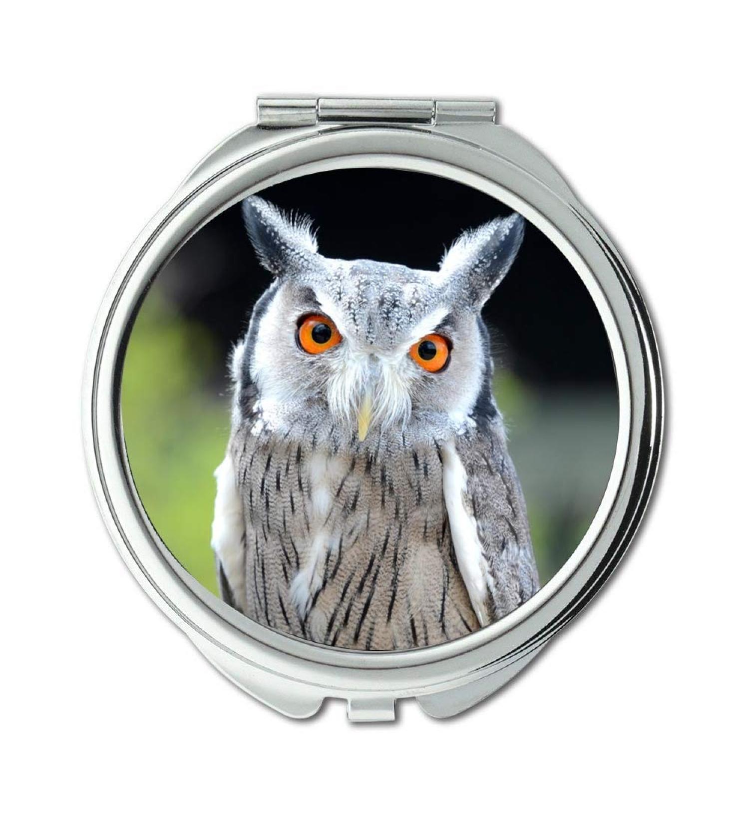 YENDOSTEEN Mirror Travel Mirror owl eating Southern White faced Owl Petit duc a face blanc on Explore May pocket mirror portable mirror - Buy Online on GoSupps.com