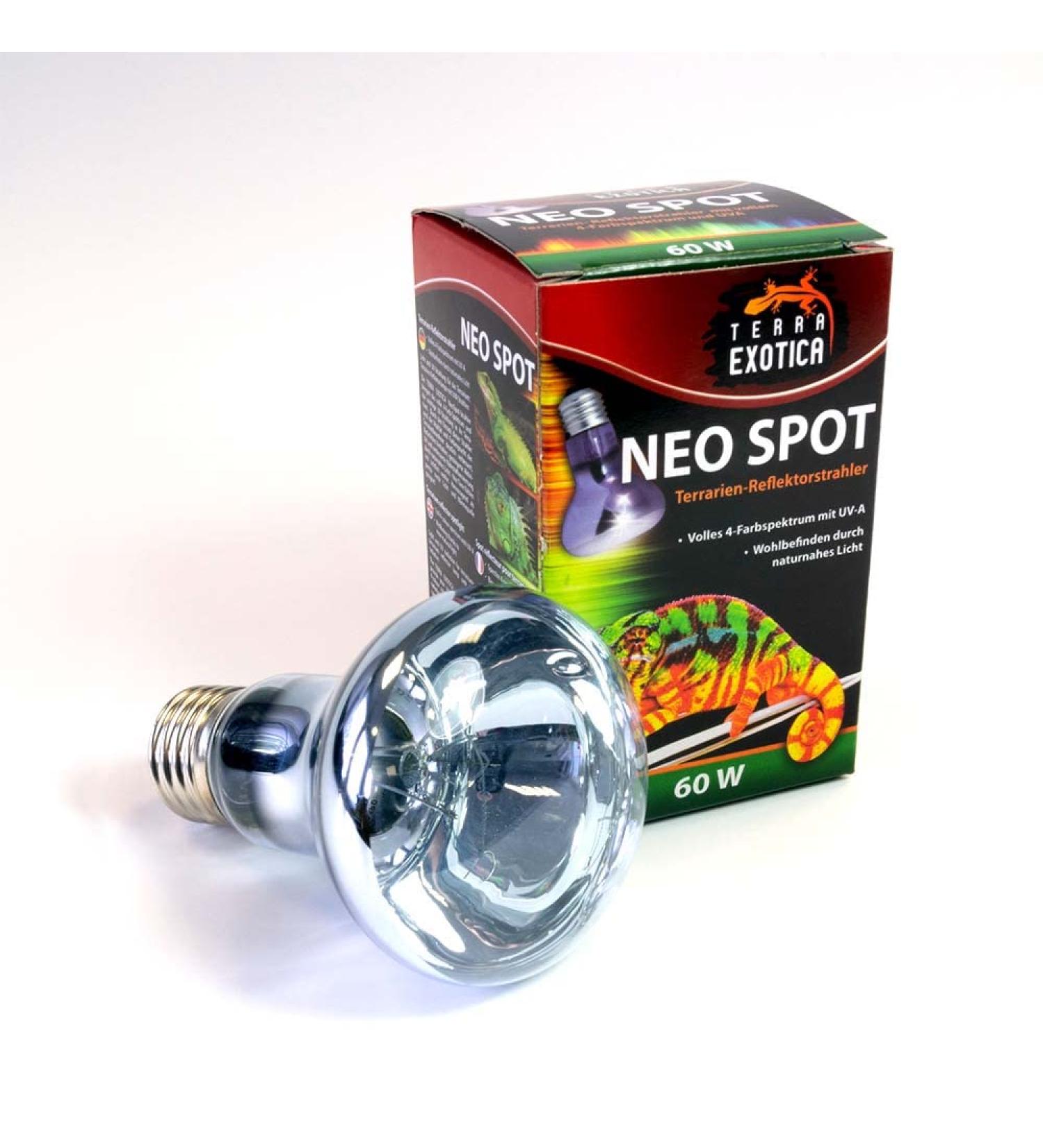 Terra Exotica Neo Spot - UV Radiation Terrarium Reflector & Heat Light Source (25W 40W 60W 75W 100W 150W) for Healthy Terrarium Dwellers - Buy Online on GoSupps.com