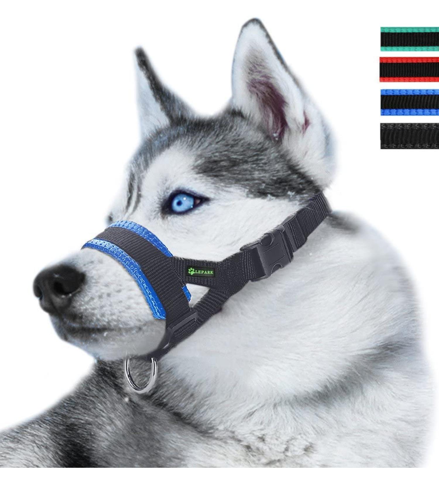ILEPARK Adjustable Nylon Dog Muzzle - Stop Biting Barking & Chewing | Size M Blue - International Shipping Available - Buy Online on GoSupps.com
