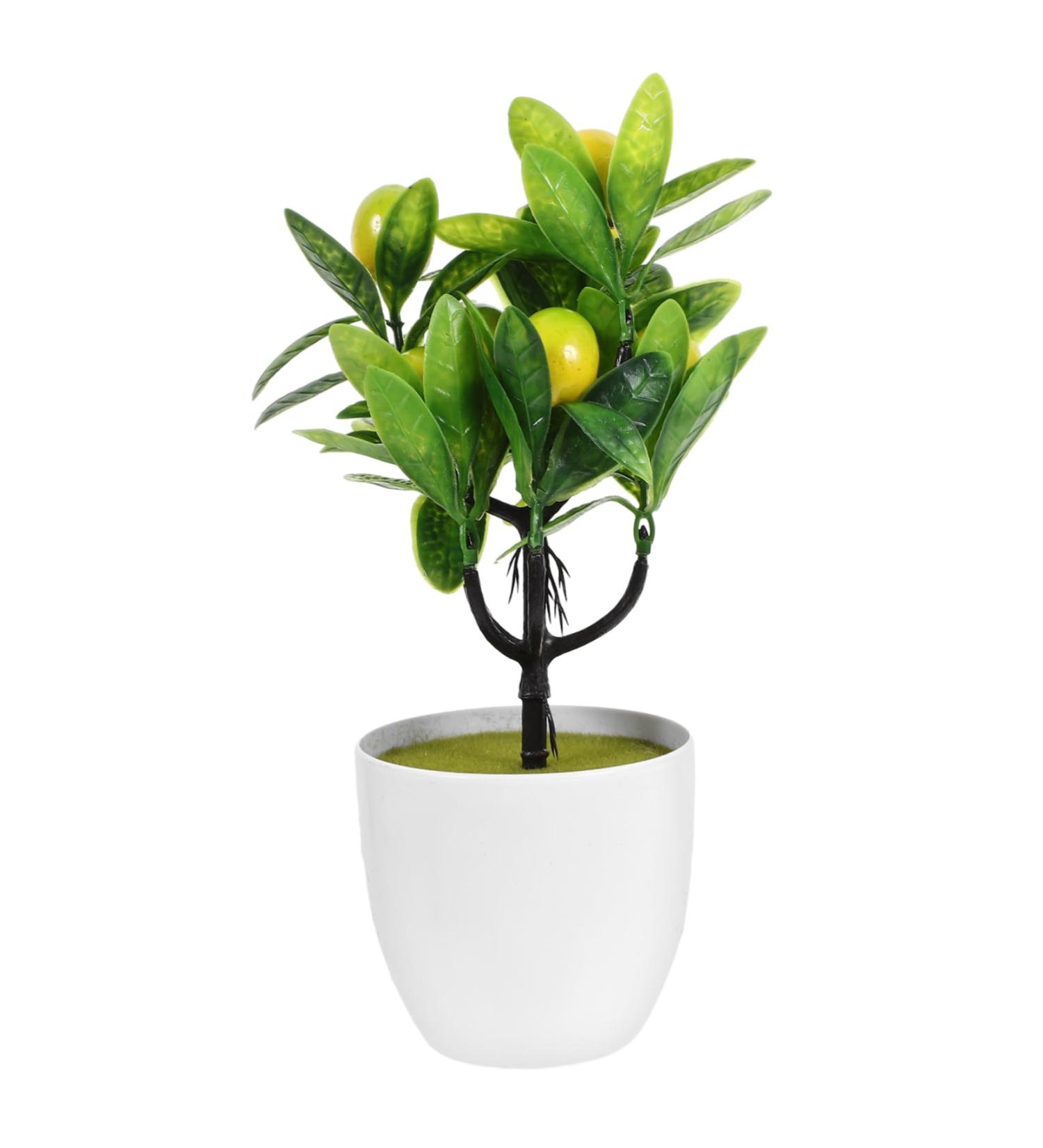 Zerodeko 2pcs Faux Lemon Potted Plant Mini Greenery Faux Plants Indoor Artificial Fruit Tree Bonsai Summer Flower Decor Ornament Office Lemon Tree Decors Plastic Desktop Decorations Yellow 11x6.5x26cm - Buy Online on GoSupps.com