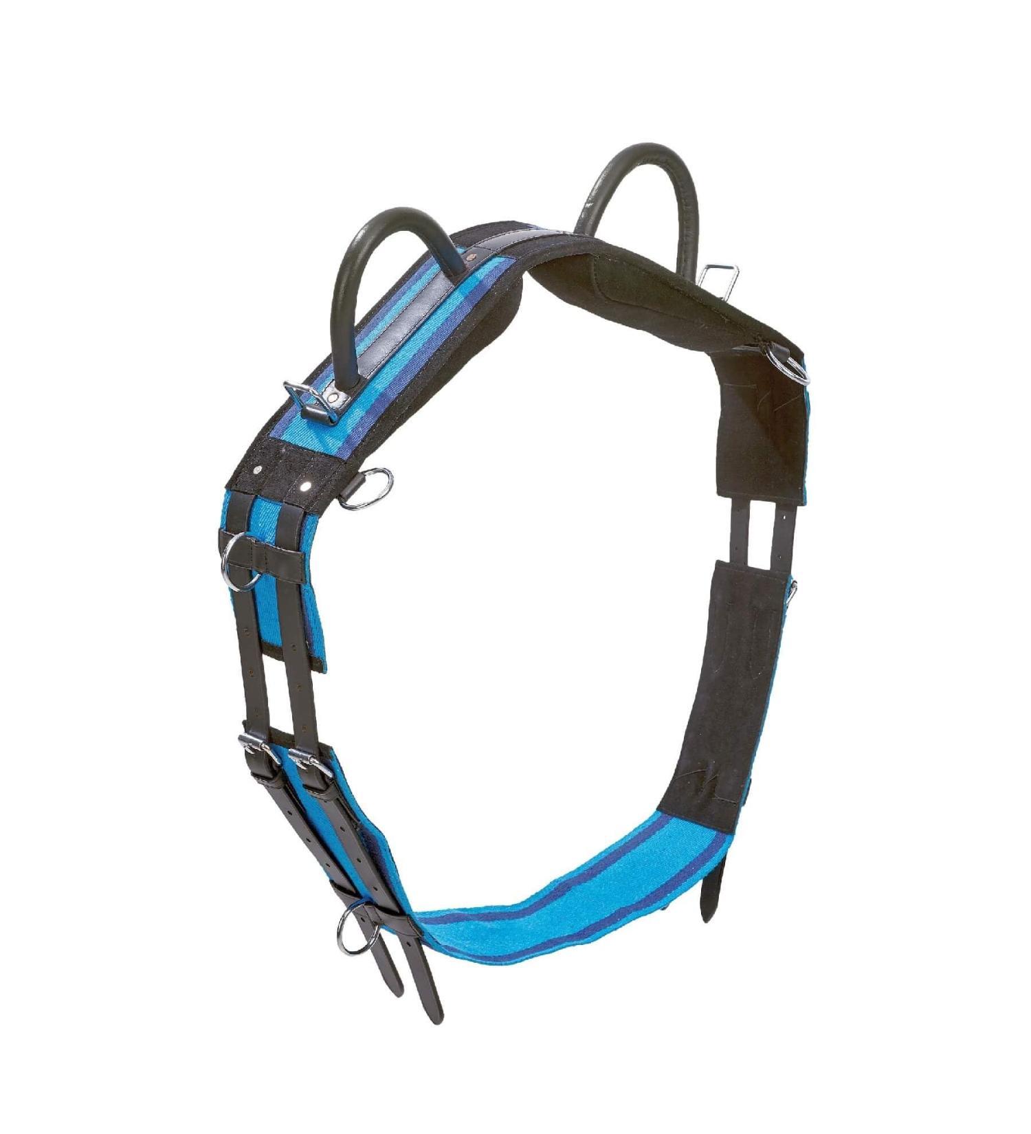 Longier belt Double Shetty Navy/Sky Blue