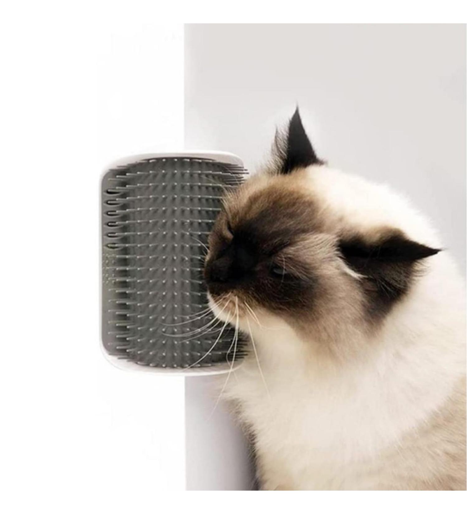Cat Self Groomer Wall Corner Massage Comb for Long & Short Fur Cats - Grey - Buy Online on GoSupps.com
