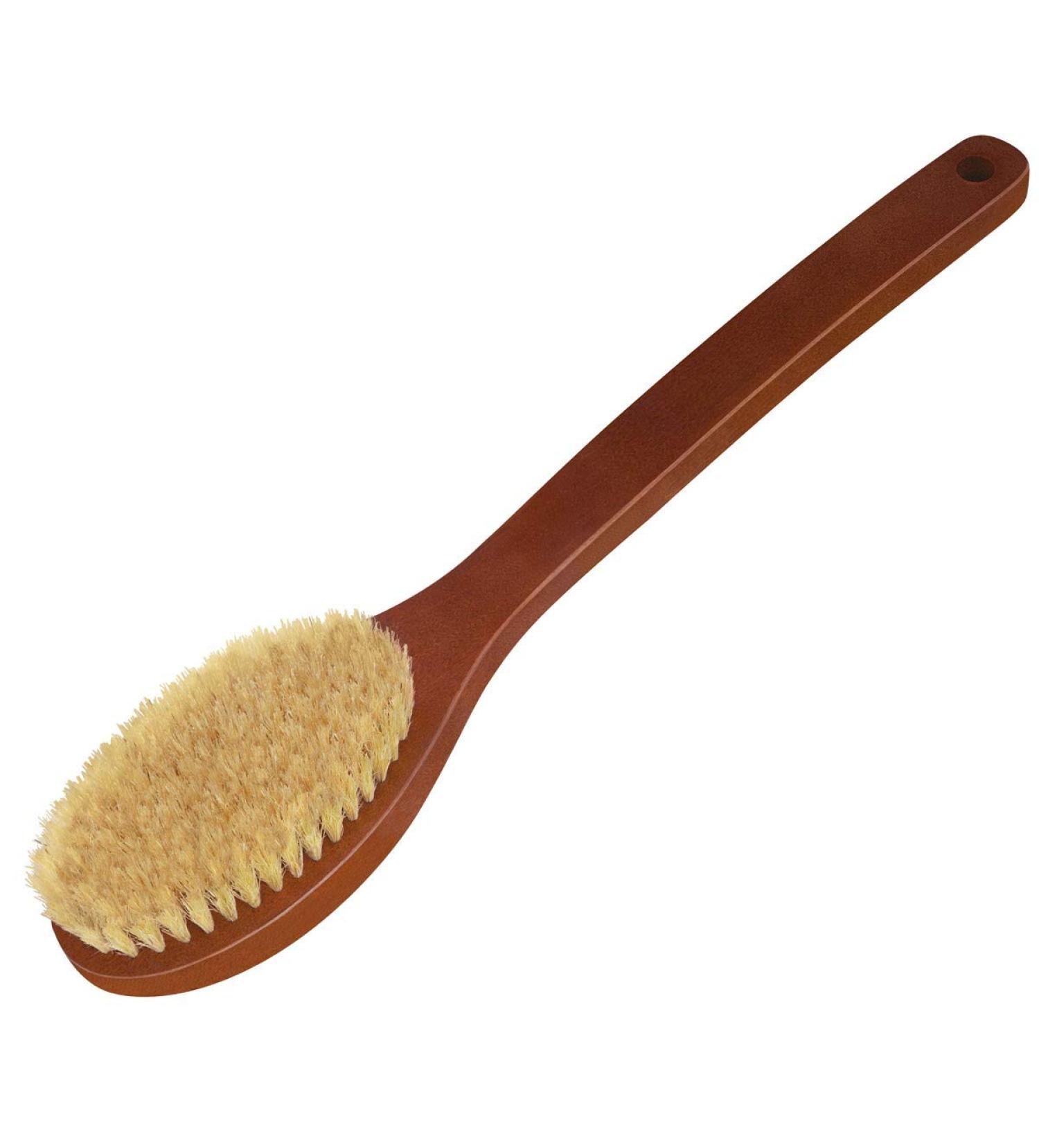 Croll & Denecke bath brush stained with long handle curved shape