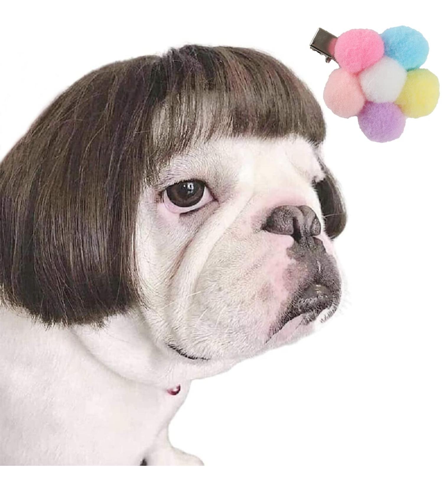 Brown wig for dog online