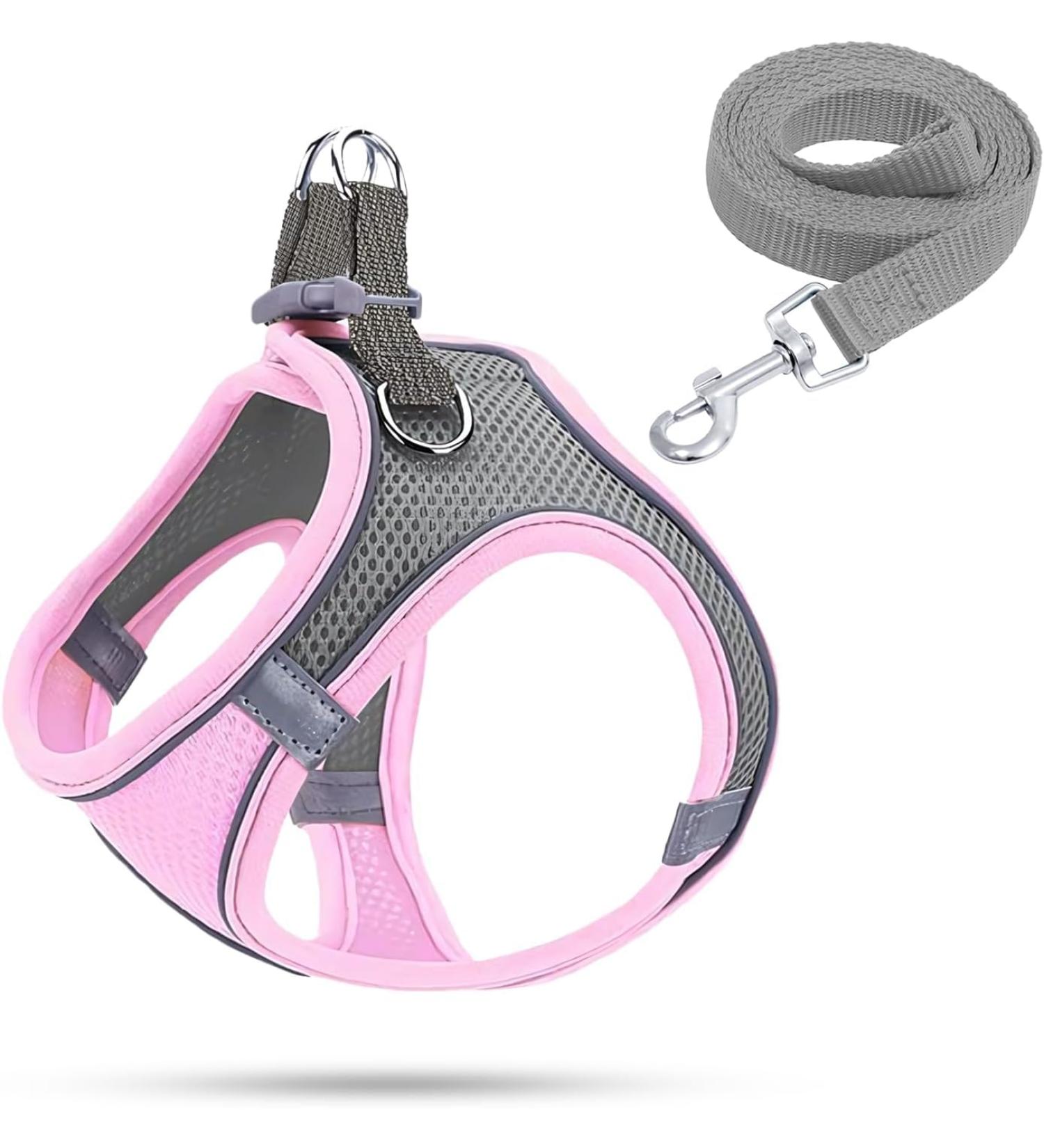 Shop Bright Pink Dog Harness & Puppy Tableware | Small Dog Dishes with Leash - Curli - Buy Online on GoSupps.com