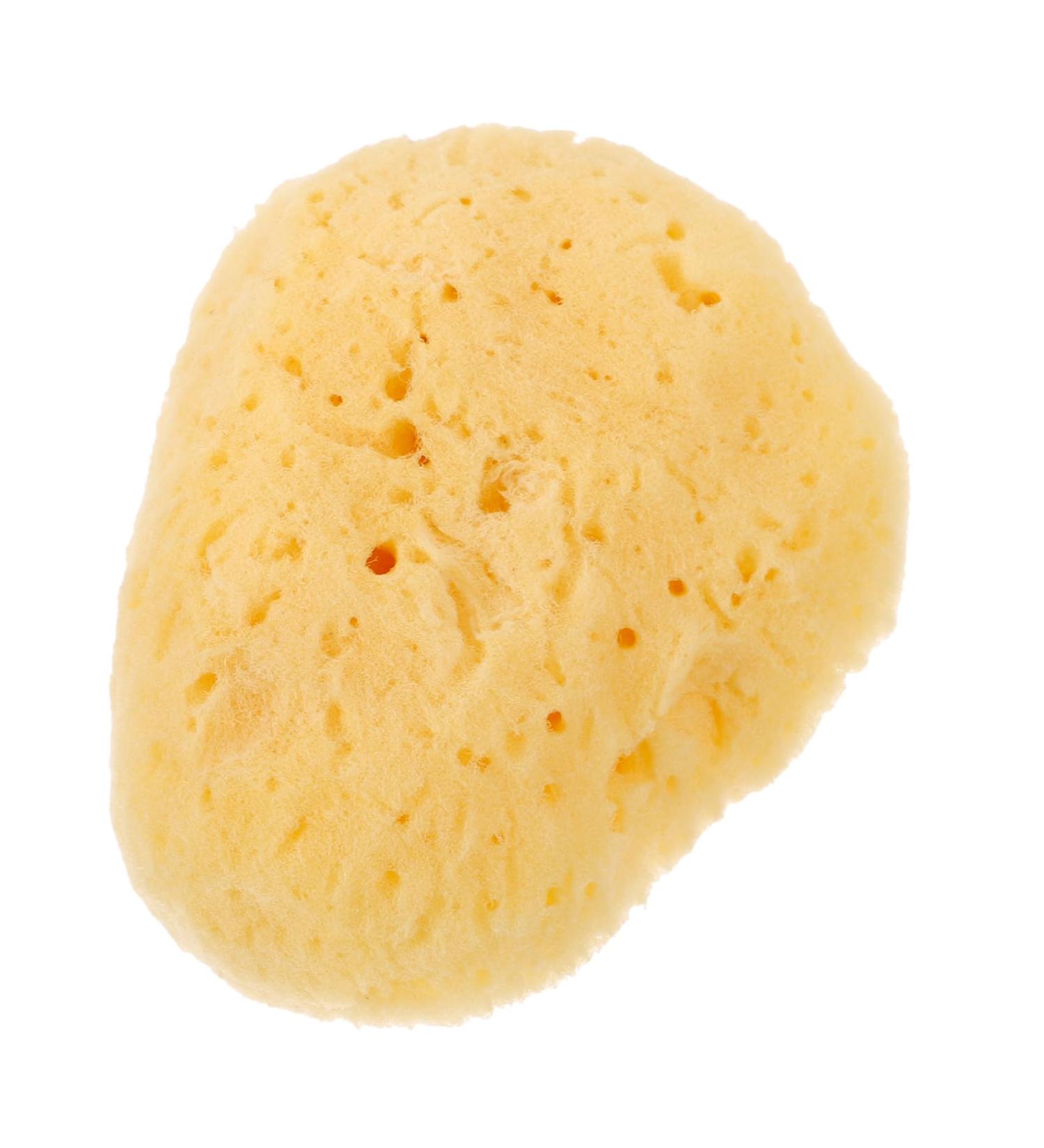 FOYTOKI Natural Sponge Greece Facial Cleansing Sponge Face Sponges for Cleansing and Exfoliating Face Cleansing Pads Facial Sponges for Women Face Sponge for Washing Face Cleansing Sponges - Buy Online on GoSupps.com