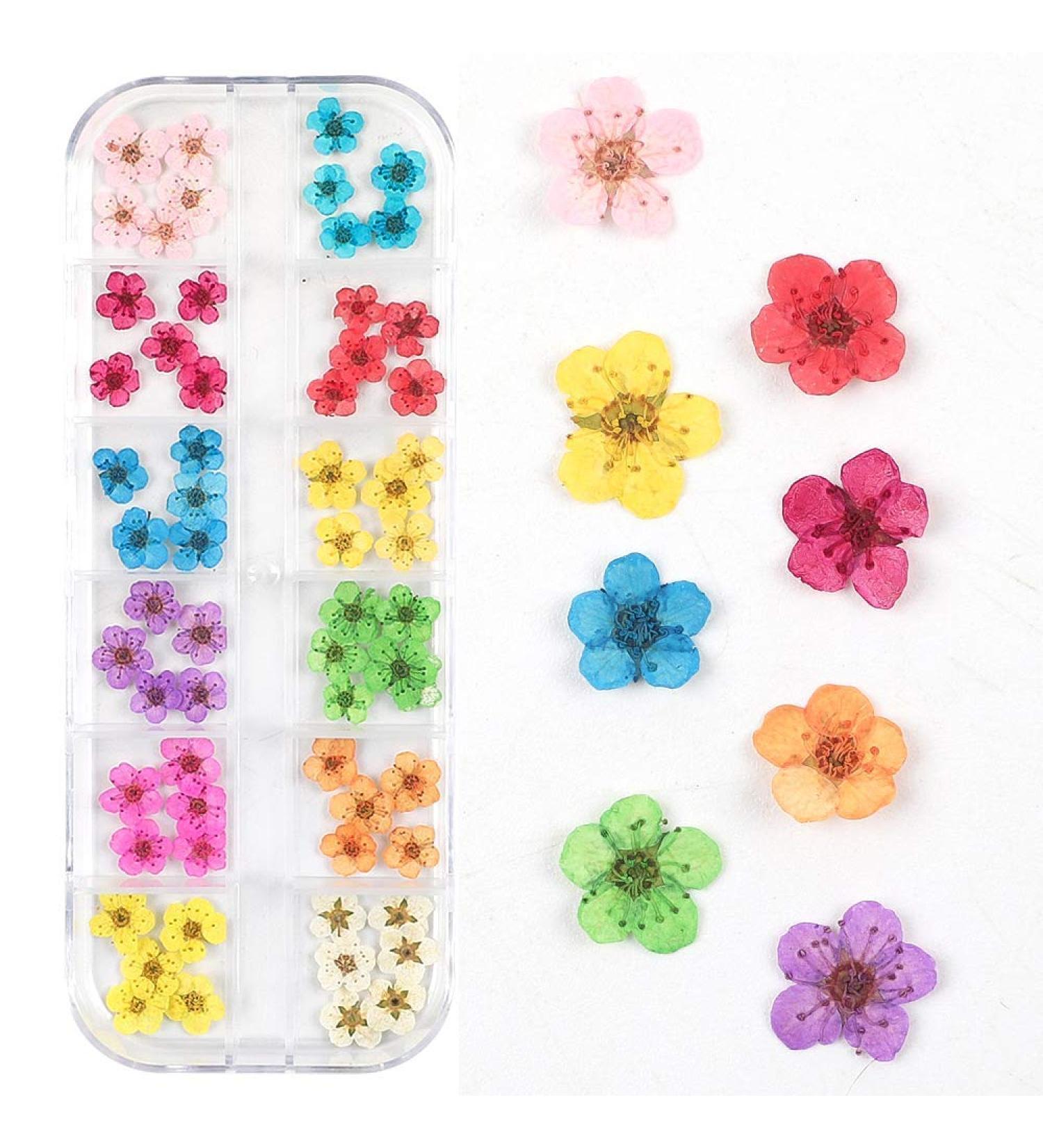 Dried Flowers for Nail Art - Mini Real Natural Five Petal Flower Sticker Decals - Buy Online on GoSupps.com