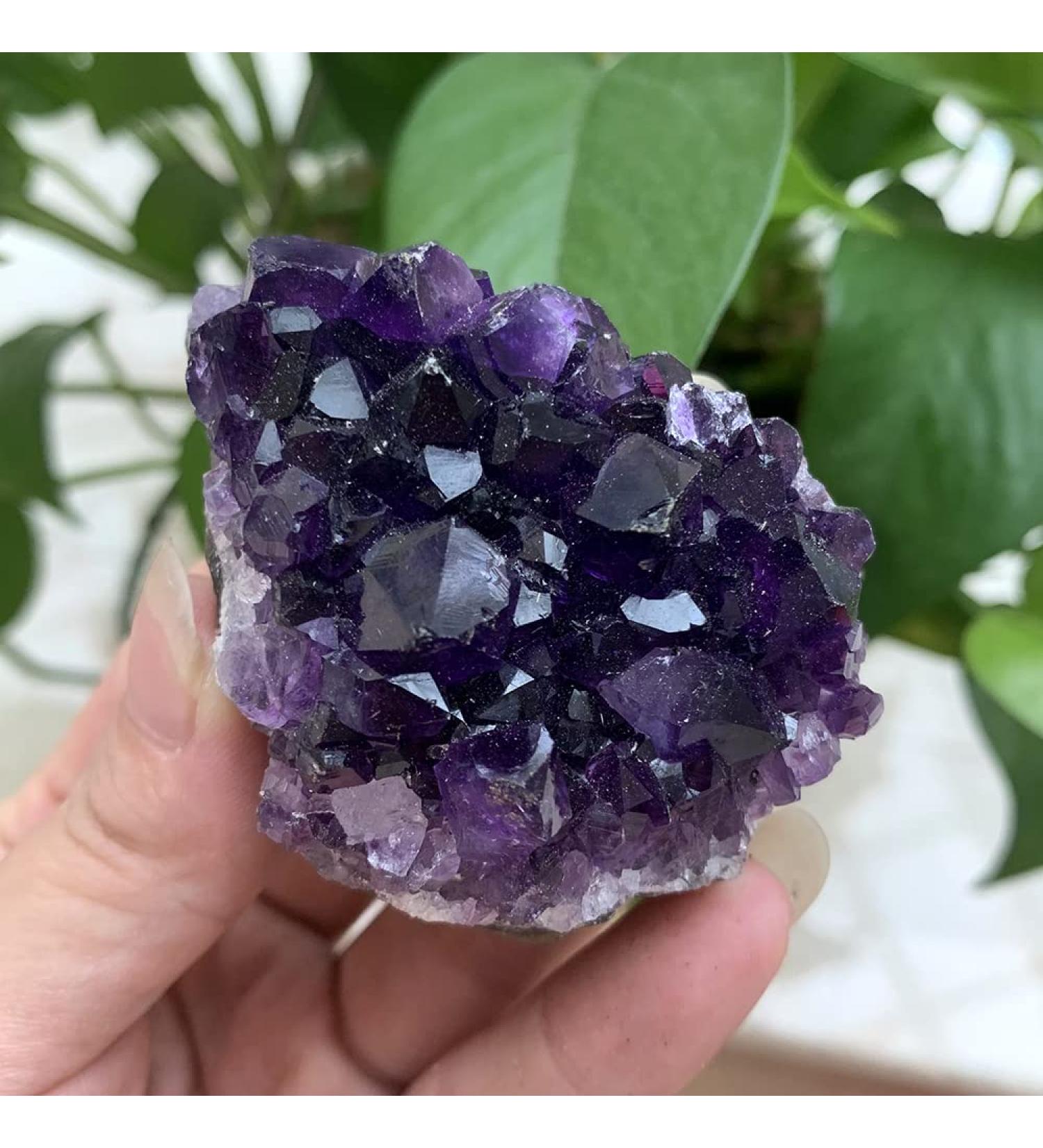 100-120g Natural Stone deep Amethyst Quartz Crystal Cluster Specimen - Buy Online on GoSupps.com