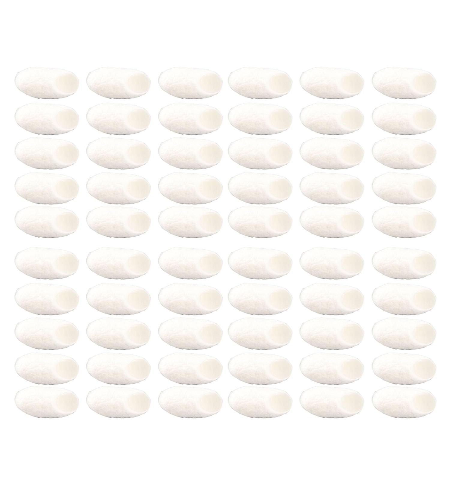 60pcs Soies Naturelles Cocoons Soins Du Visage Pour Le Visage - Buy Online on GoSupps.com