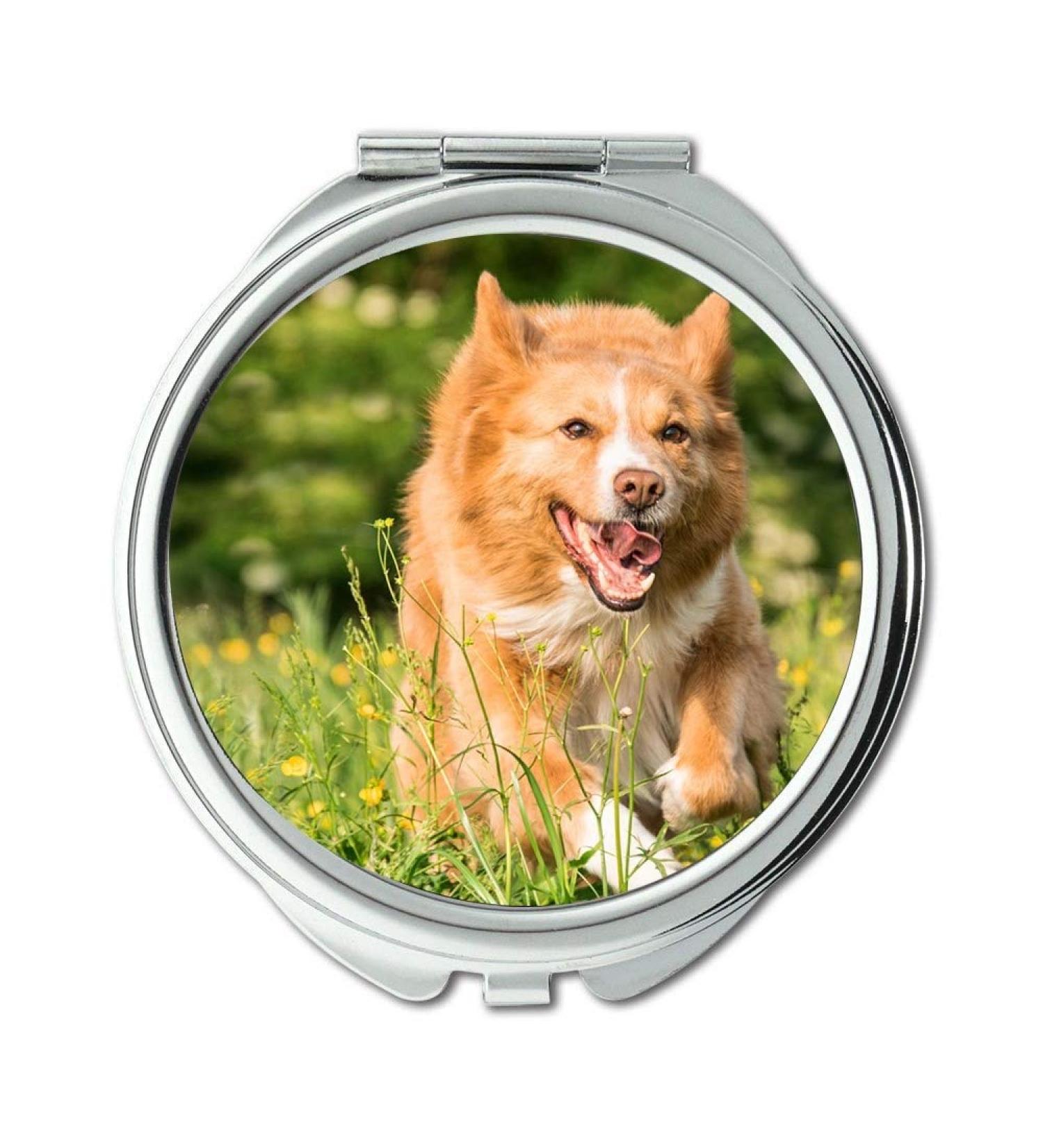 Mirror Travel Mirror Dog Run Play Meadow Flowers Pocket Mirror portable mirror - Buy Online on GoSupps.com