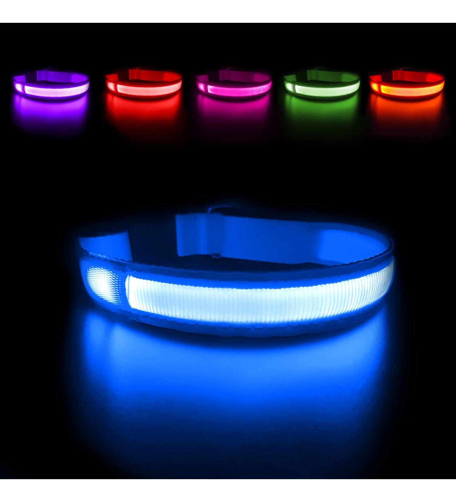 MASBRILL LED Dog Neck Band - Waterproof USB Charging Adjustable Safety Collar for Small & Medium Dogs - 3 Lighting Modes - Blue - M (38-50cm) - Buy Online on GoSupps.com