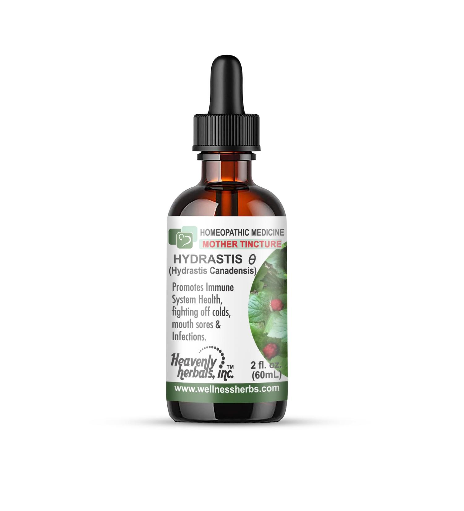 Hydrastis Canadensis Q - Homeopathic Goldenseal Root Extract | Immune Support Tincture - 2 FL OZ - Made in USA - Buy Online on GoSupps.com
