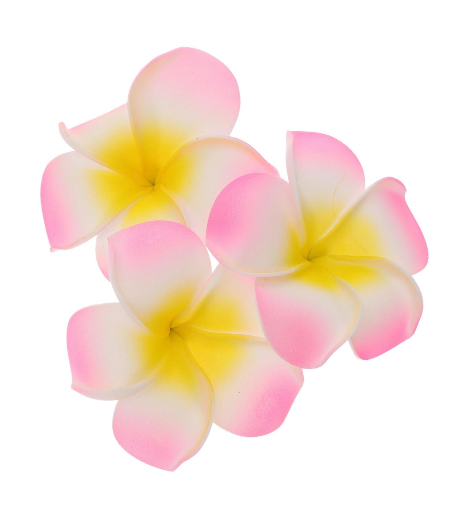 FRCOLOR 1pc Frangipani Headpiece Floral Hair Accessories Hair Jewels for Women Hawaiian Accessories Beach Wedding Hair Barratte Womens Hair Clips Tiara Miss Shoes and Hats Decorations Pink - Buy Online on GoSupps.com