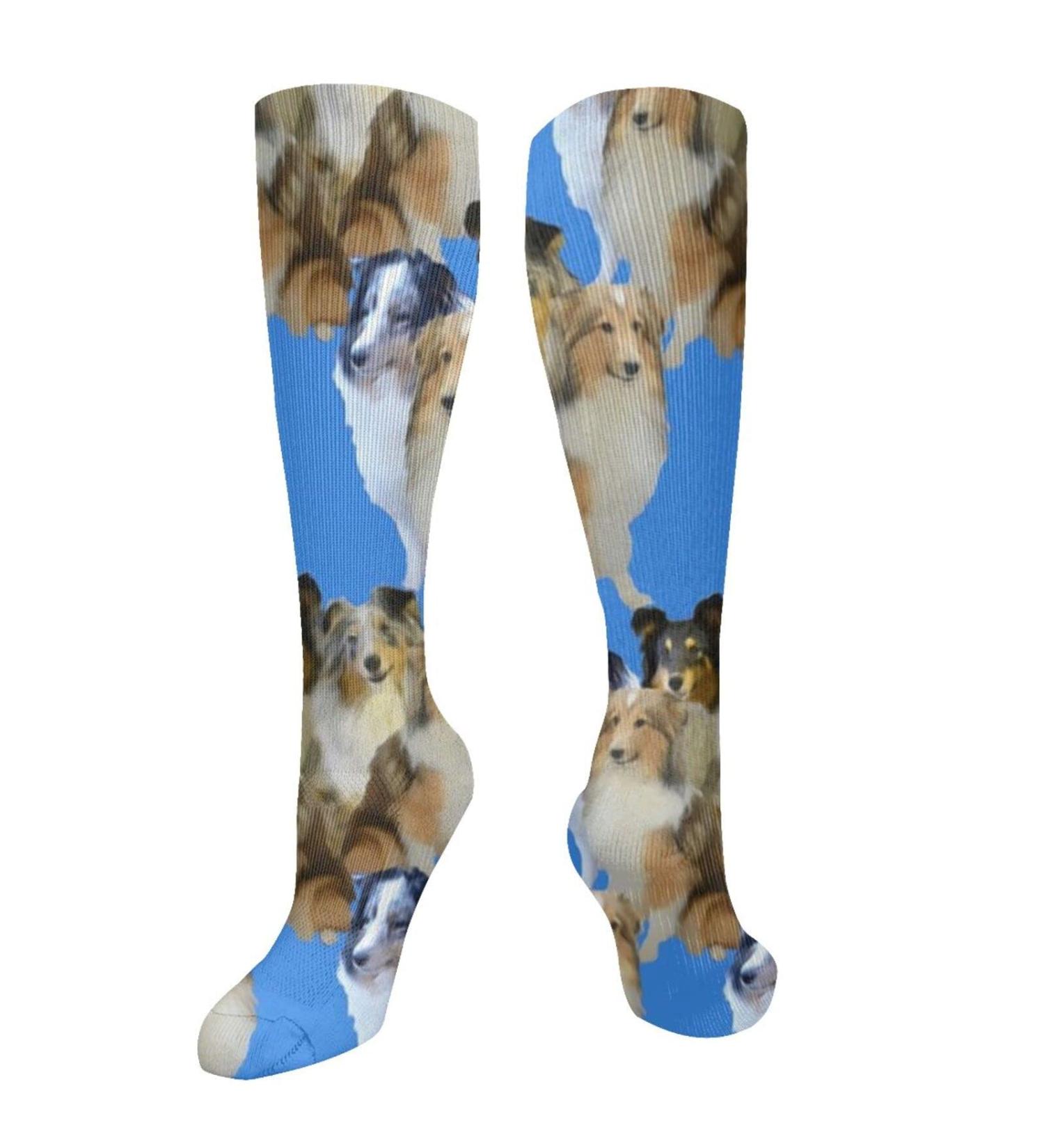Shelties Family Compression Socks for Men & Women - Blue Background 15-20 mmHg Support for Running & Cycling - Buy Online on GoSupps.com