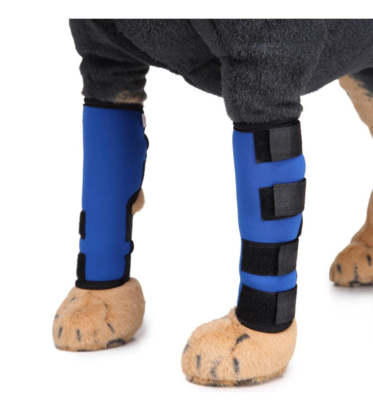 2pcs Dog Elbow Protector Pads Elbow Pads for Dogs Knee Brace for Dogs Adjustable Pet Knee Pads Strong Stability Dog Legs Protector for Recovering Injured(Blue S) - Buy Online on GoSupps.com