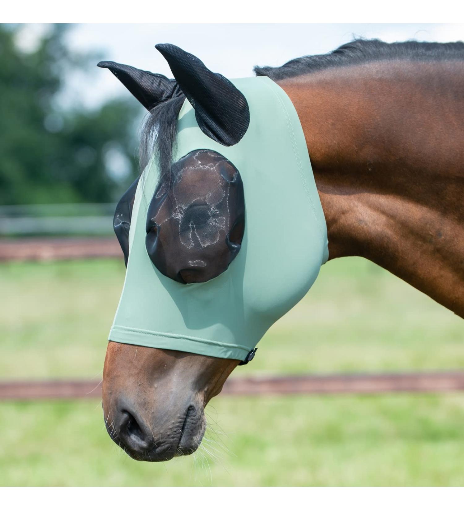 Busse Fly Mask Twin Fit Flexi | Premium Horse Fly Protection - Shop Internationally - Buy Online on GoSupps.com