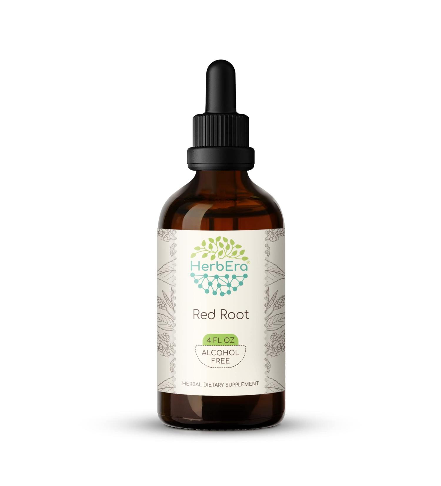 Red Root B120 Alcohol-Free Herbal Extract Tincture | Super-Concentrated 4 fl oz | New Jersey Tea Ceanothus Americanus | Pack of 1 - Buy Online on GoSupps.com