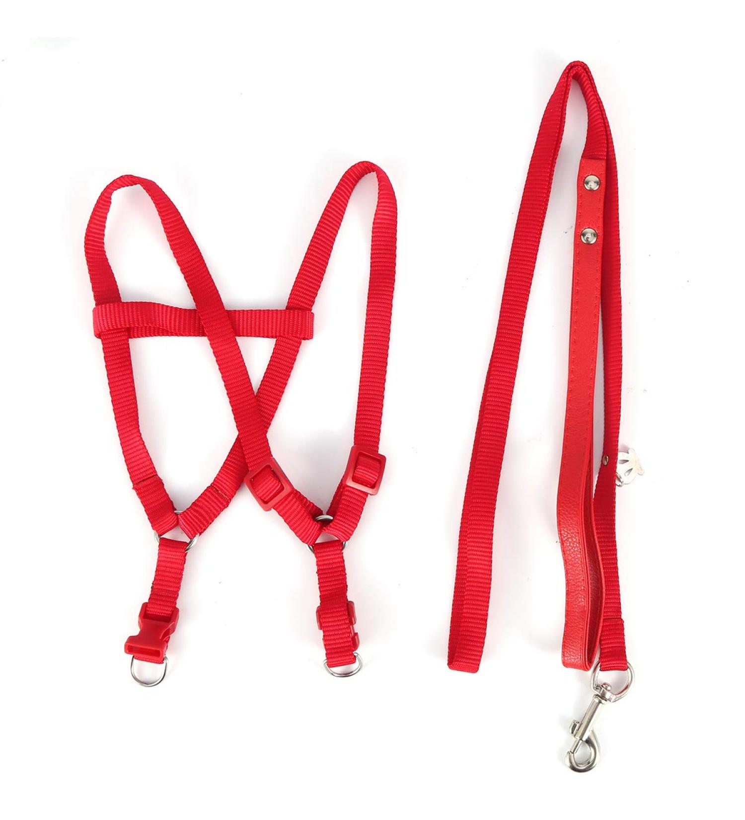 Nicoone Bird Harness and Leash for Macaw Cockatoos Adjustable Bird Leash for Parrots - Buy Online on GoSupps.com