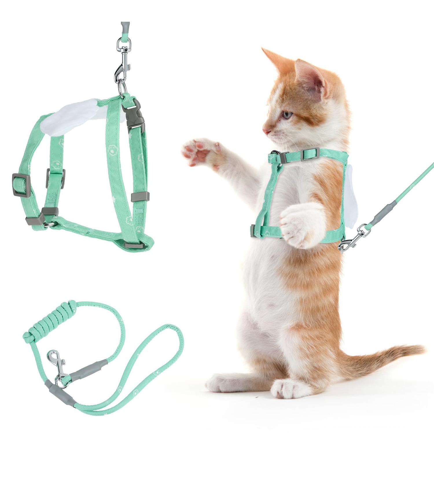 Adjustable Tiesome Cat Dishes with Leash & Collar Set - Color Gradient Kitten Dishes for Outdoor Walks (Green) | International Shipping Available - Buy Online on GoSupps.com