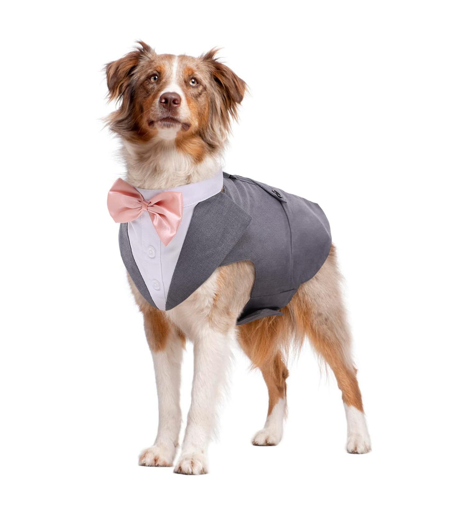 Dog Smoking Suit & Bandana Set - Formal Wedding Party Clothing for Pets | Adjustable Tie Shirt for Birthdays Halloween & Christmas - Gray (L) - Buy Online on GoSupps.com