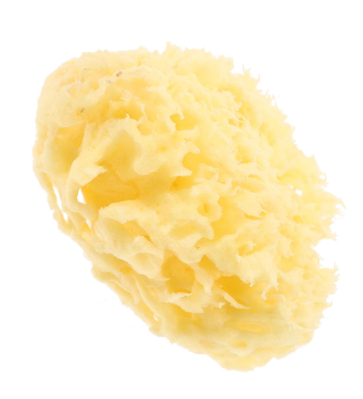 FOYTOKI Moisturizer Bath Sponges for Bathing Sea Sponges for Bathing Body Sponges for Shower Exfoliating Shower Sponge for Body Shower Sponges Bath Sponges for Shower Sponge Bath - Buy Online on GoSupps.com