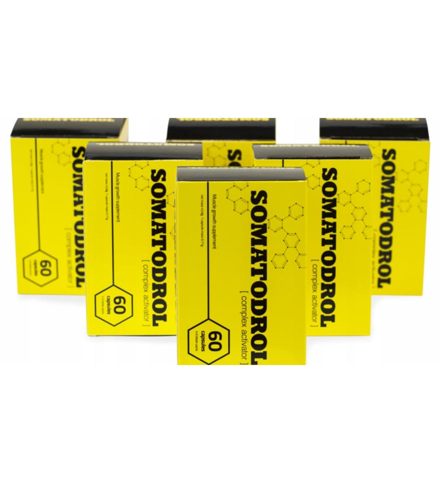 6x Somatodrol Dietary Supplement Masse et Force pour les Muscles