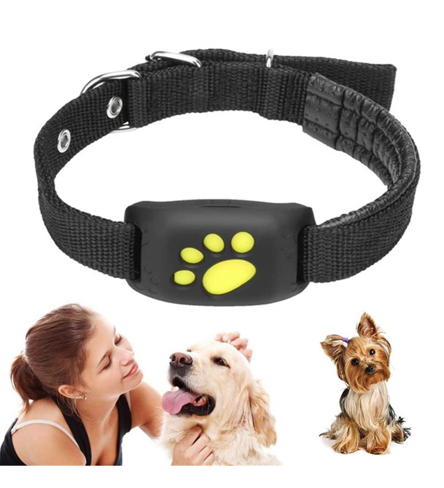 LILOVE Pet Tracker Dog GPS Tracker Real Time Tracking Locator Pet Collars with Mic Dogs Cats GPS Tracking Pet GPS Tracker Collar Anti-Lost Device (1) - Buy Online on GoSupps.com