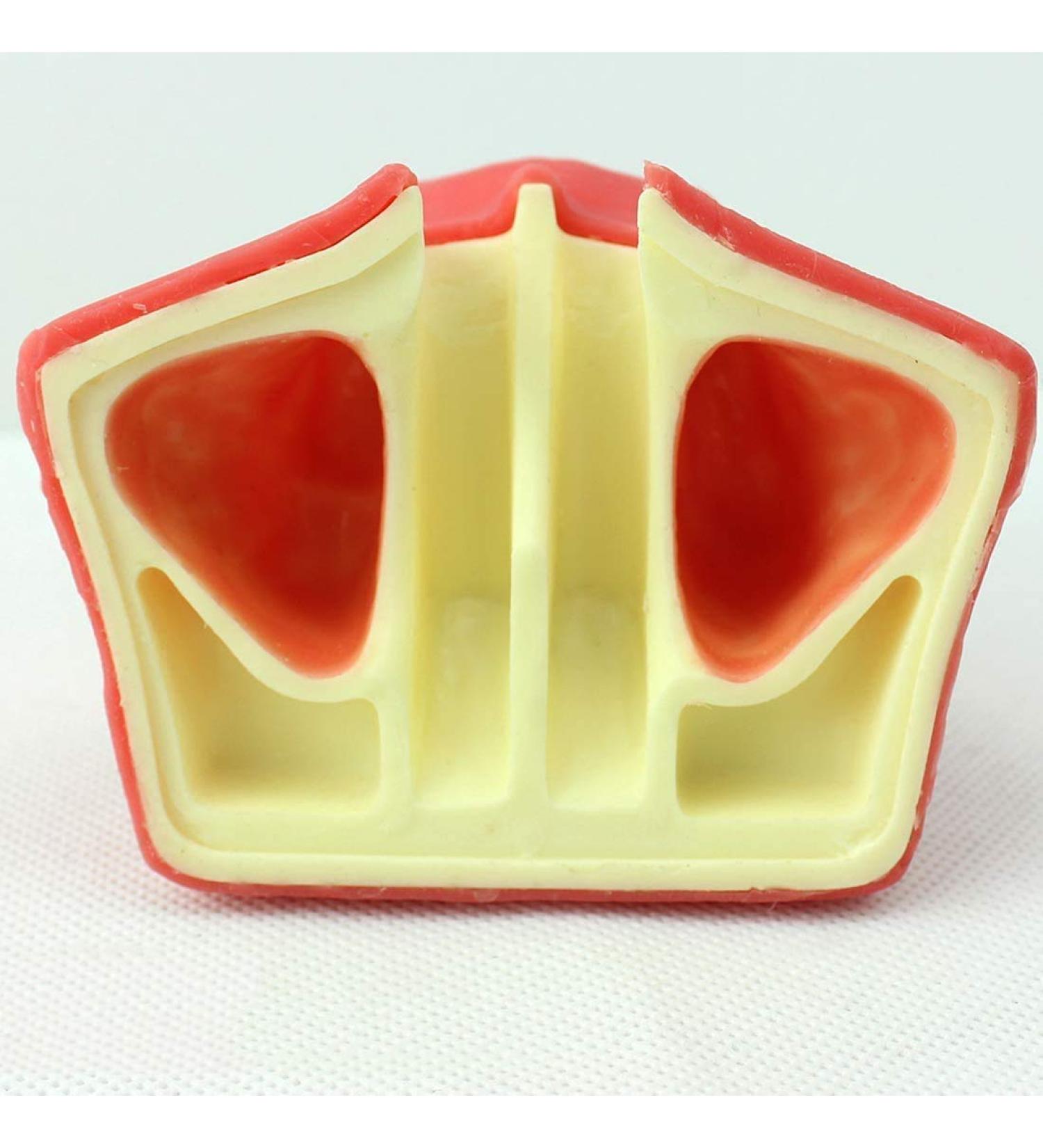 LBYLYH Dental Oral Model & Jaw Implant Surgical Model - Breast Lift Operation Training Tool - Buy Online on GoSupps.com