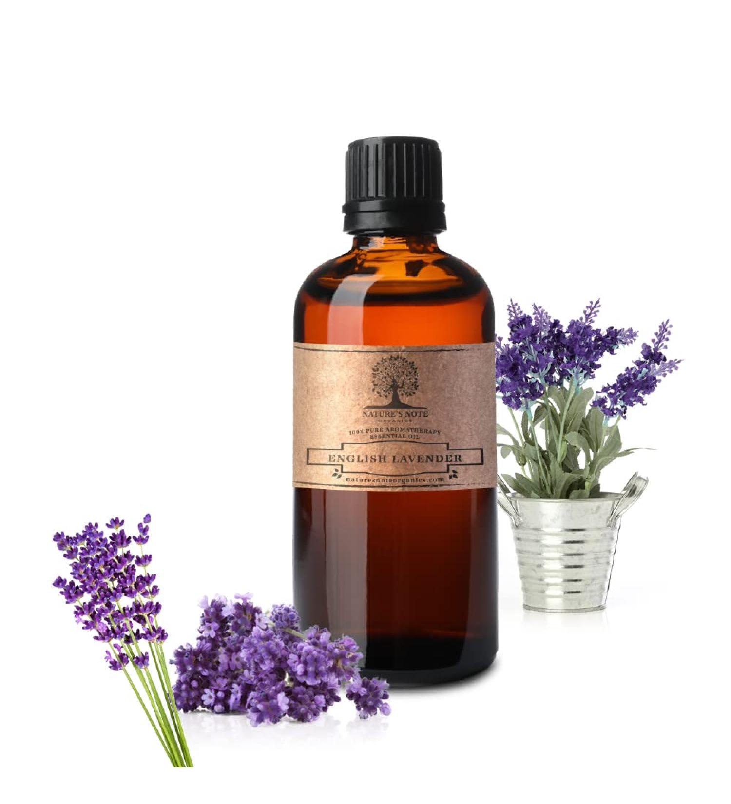 English Lavender Essential Oil - 100% Pure Aromatherapy Grade Essential Oil by Nature's Note Organics - 8 Fl Oz - Buy Online on GoSupps.com