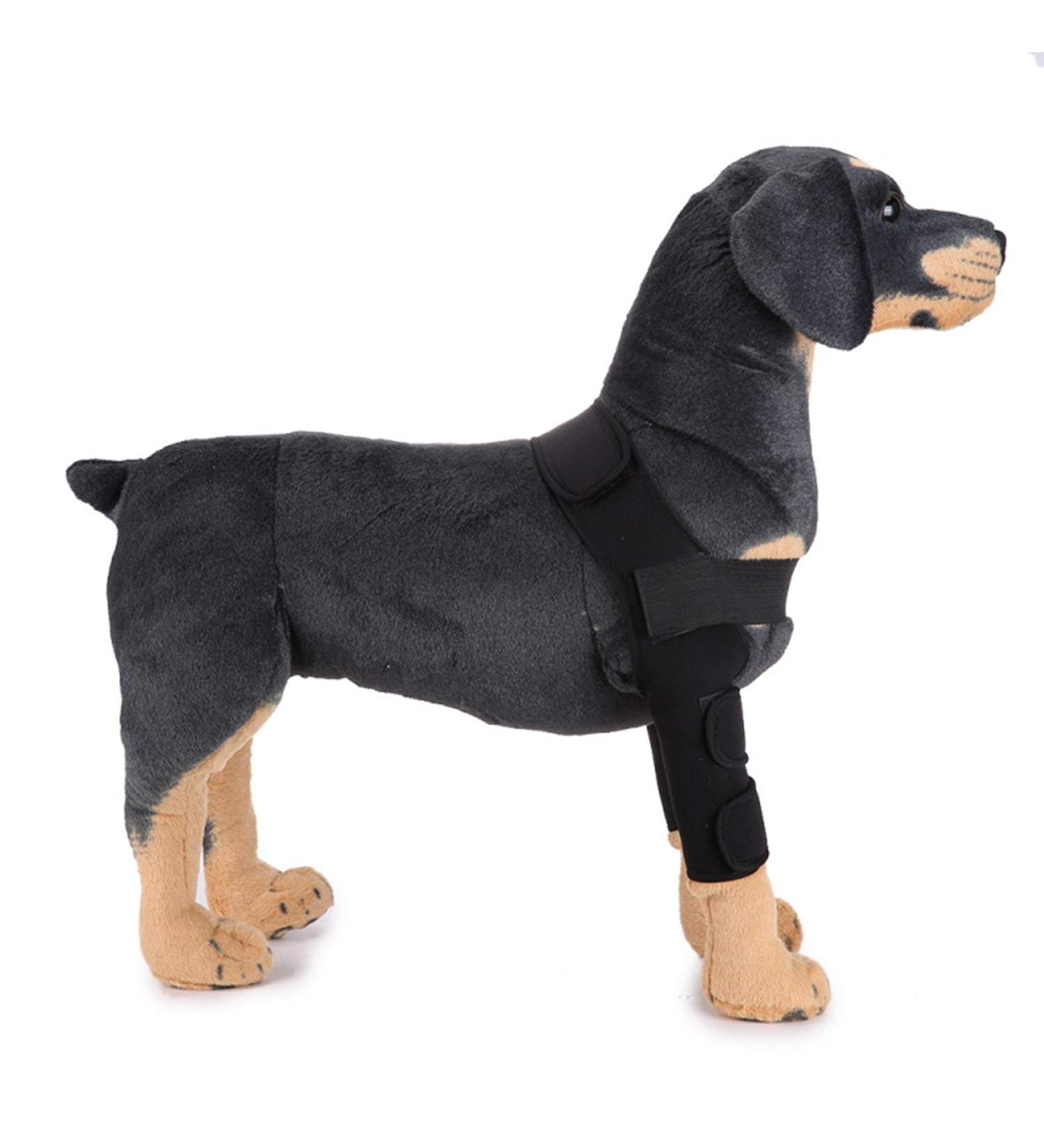 PETCUTE Dog Hock Brace for Dogs Knee Pads Dog Rear Leg Support Dog for Injury Arthritis Healing(1 Pair) - Buy Online on GoSupps.com