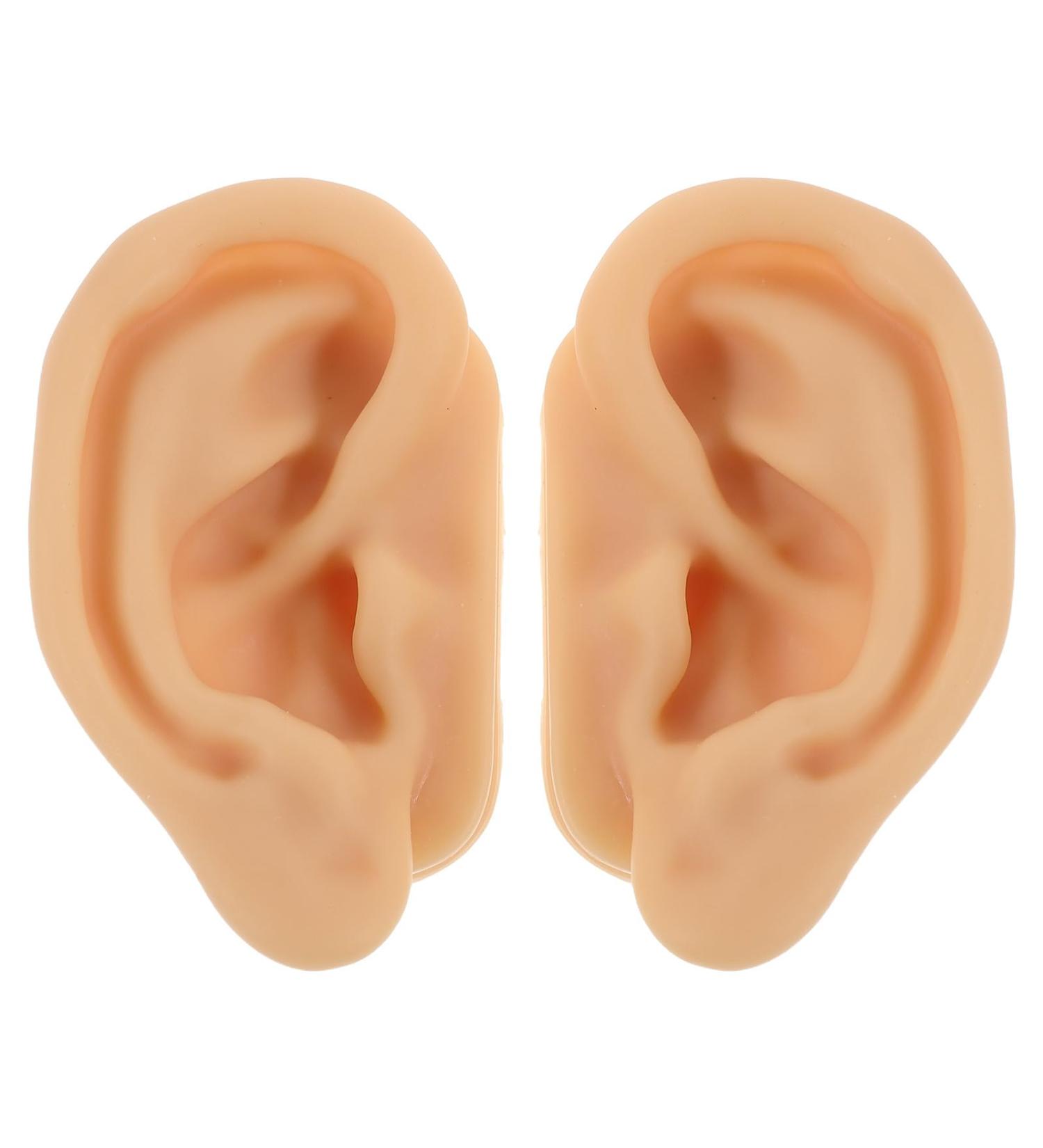 IDEANATEGRATE 1 Pair Ear Acupuncture Point Teaching Model - Silicone Fake Ear for Massage Assistance - Realistic Display Decor for Jewelry Piercing Practice - Buy Online on GoSupps.com
