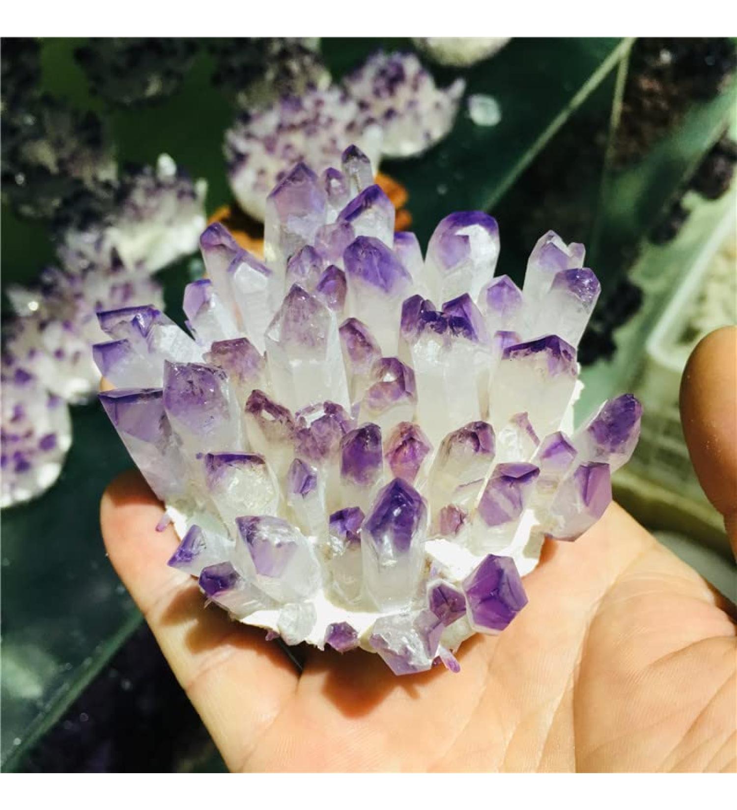 FUERLI Amethyst Rough Stone Natural Amethyst Specimen Ore Purple Quartz Stone Raw Home Decor (Size : 500-600) HOMEZHOU (Size : 300-400g) - Buy Online on GoSupps.com
